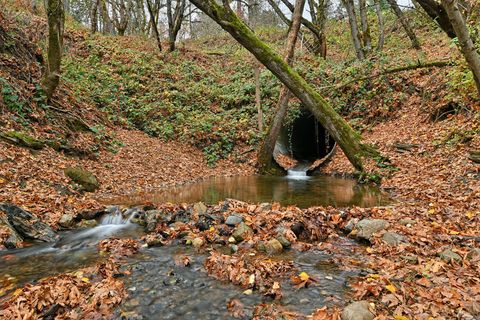 Tiny photo for 4866 Galice Road, Merlin, OR 97532 (MLS # 220212249)