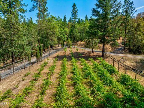 Tiny photo for 475 Penny Lane, Grants Pass, OR 97527 (MLS # 220224464)