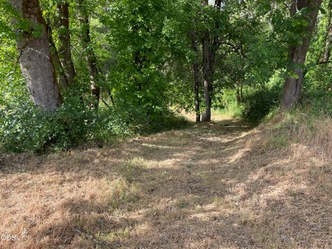 Tiny photo for 782 Covered Bridge Road, Rogue River, OR 97537 (MLS # 220222099)