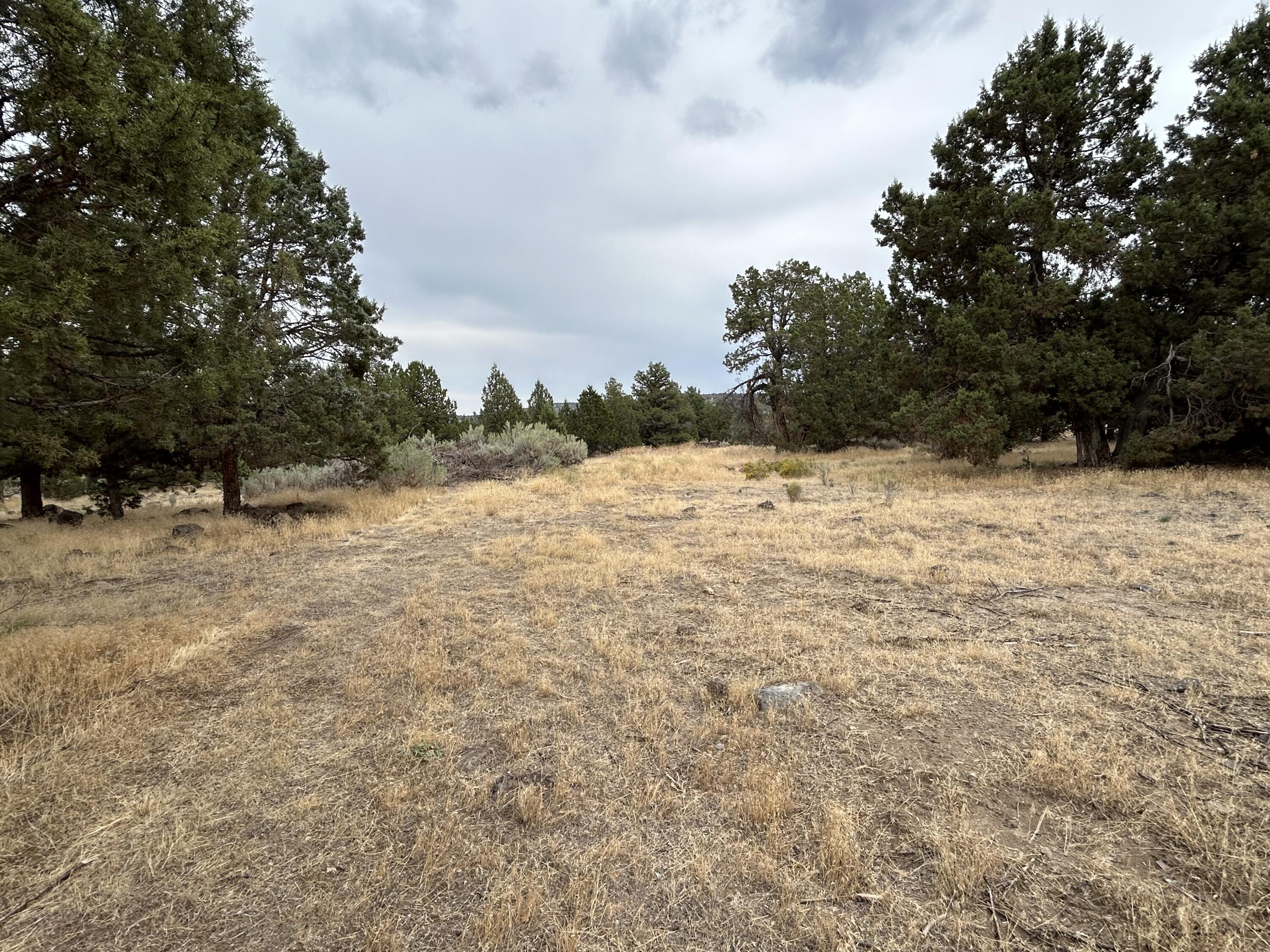 Southwood Estate - Residential