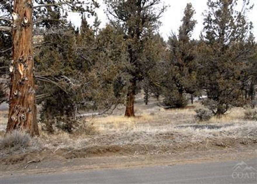 Great Deschutes River access near Steelhead Falls, plus miles and mile of public land for outdoor recreation with trails for horseback riding. Power available at the road. Approved for standard septic, Well depths in area from 315' to 375'. It is truly a serene setting amongst the old-growth Juniper trees. Live just minutes from your favorite fishing hole, while enjoying all the Crooked River Ranch amenities.
