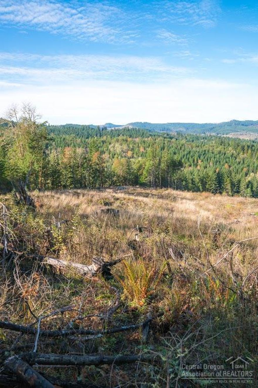 37.03 acre home site minutes from town. Boasting valley and mountain views to call home! The building site is in and ready for your plan. This unique property is tucked away on a private hillside with planted Reprod timber, wildlife, and backing to BLM land. There's no question that you'll have your own peace and quiet here. Sloping and Gently Sloping lot ready for your home plans.