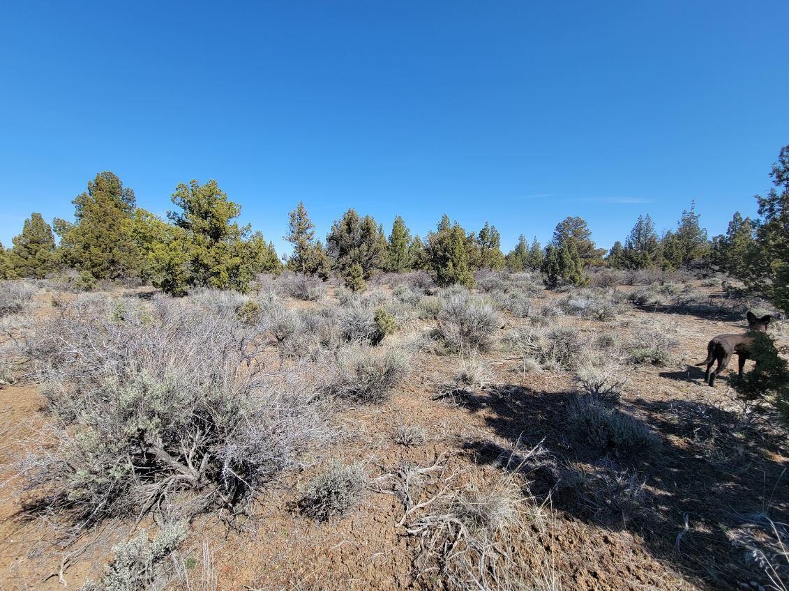 Juniper Acres - Land