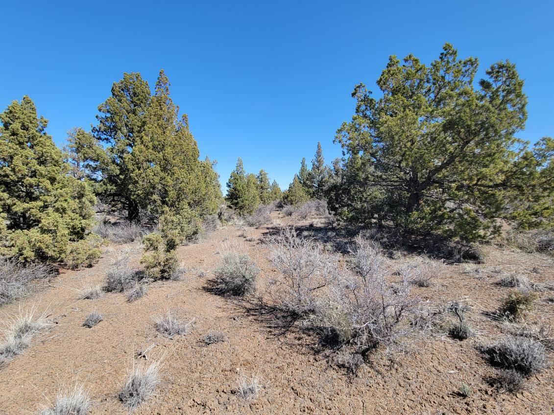 Juniper Acres - Land