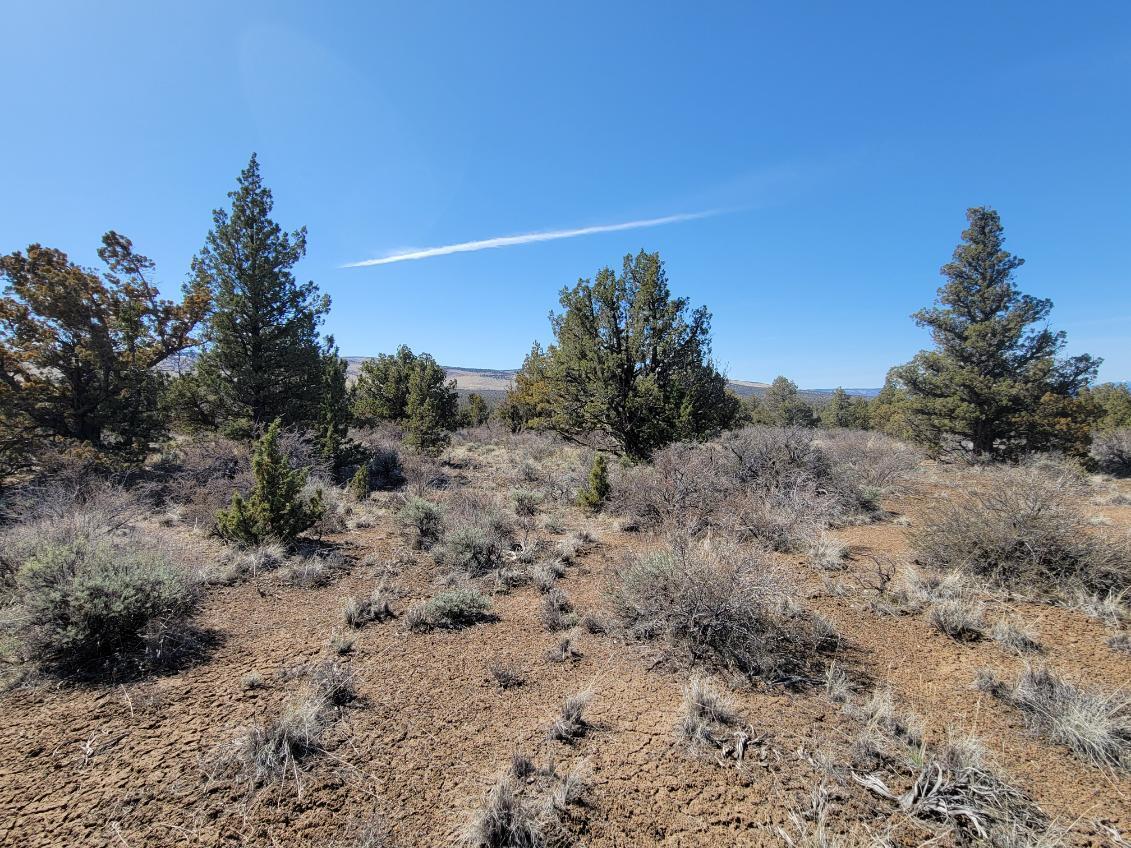 Juniper Acres - Land