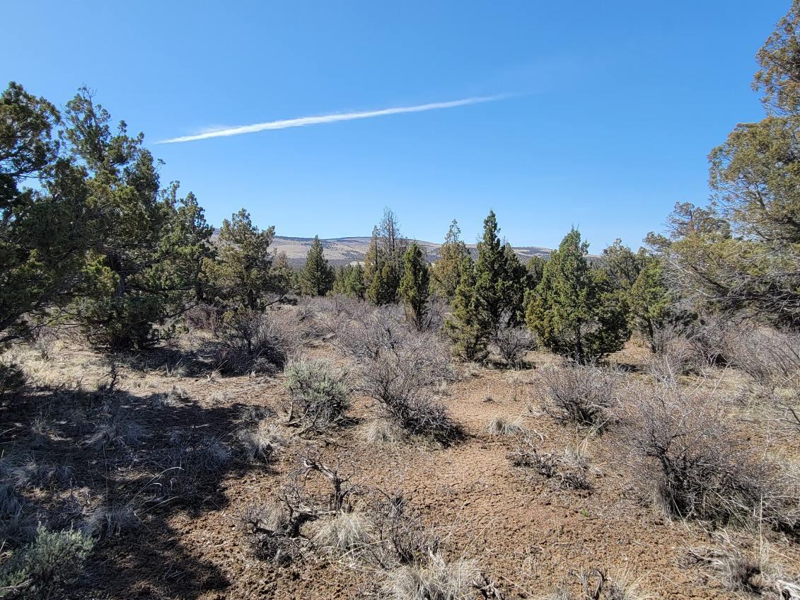 Juniper Acres - Land