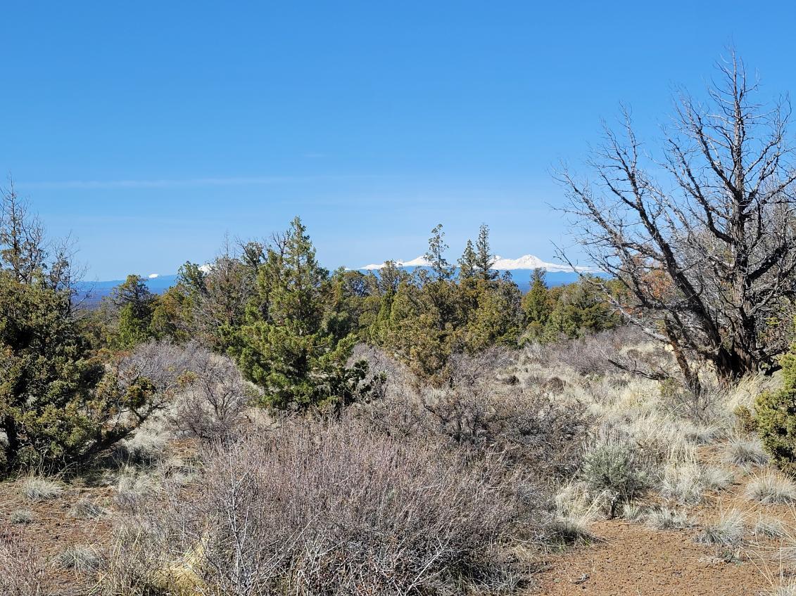 Juniper Acres - Land