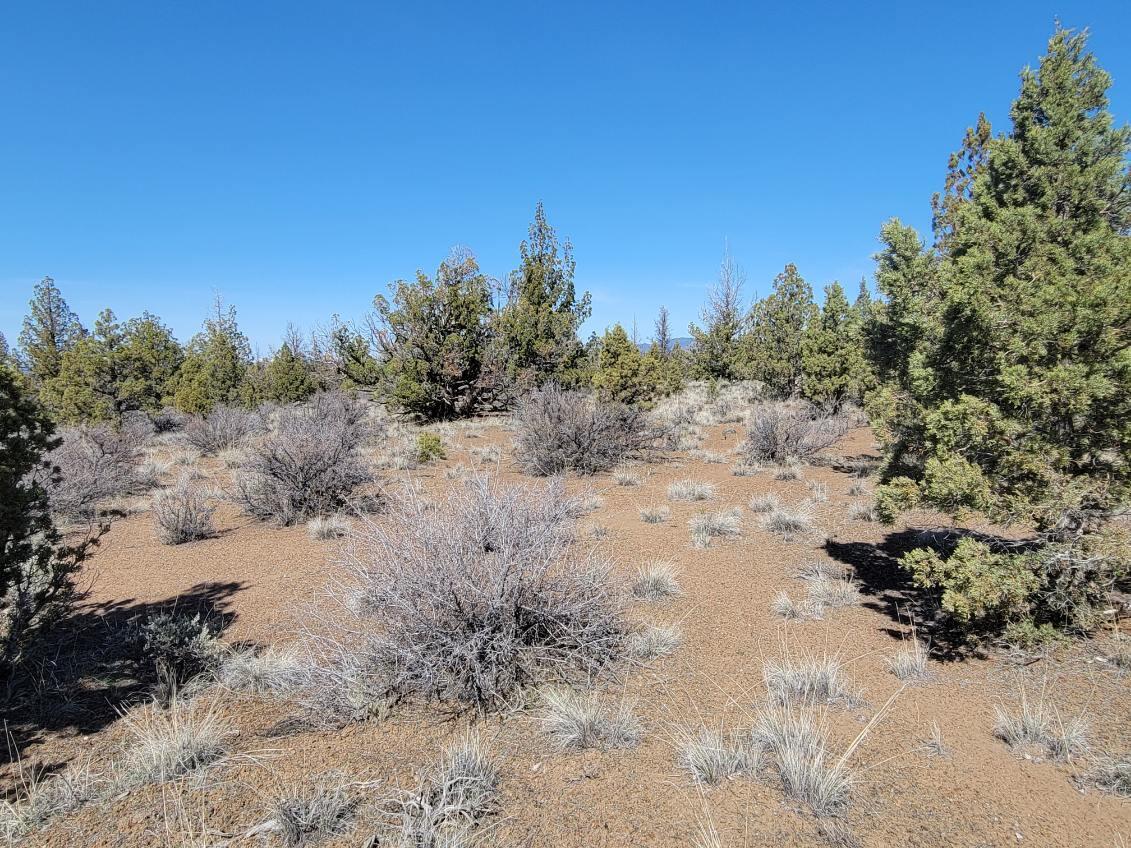 Juniper Acres - Land