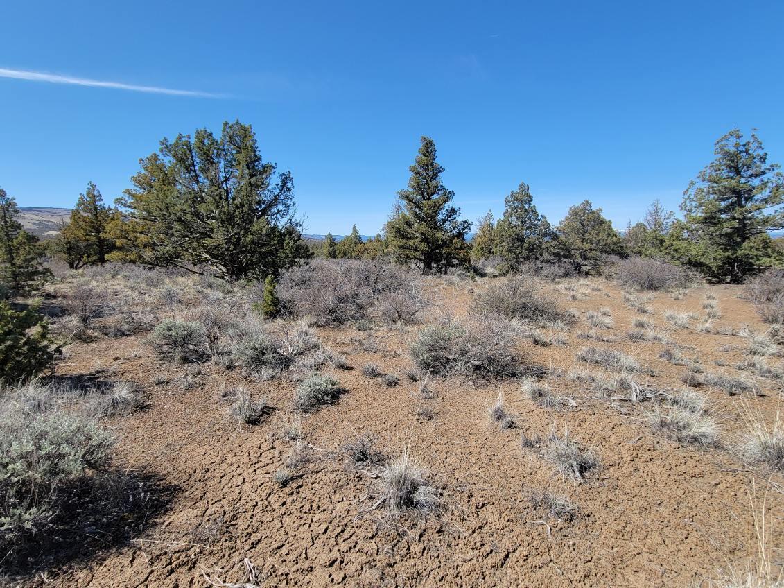 Juniper Acres - Land