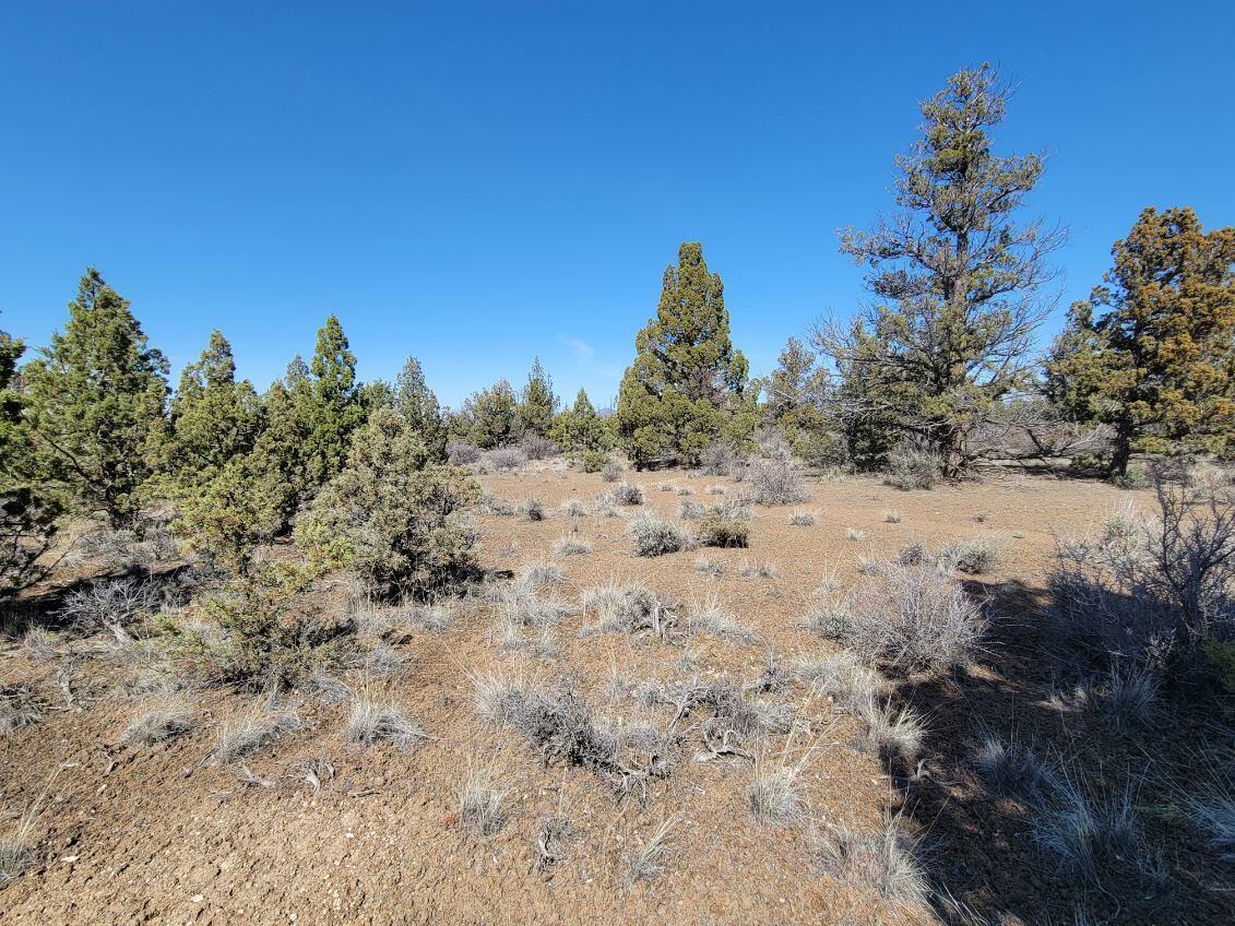 Juniper Acres - Land