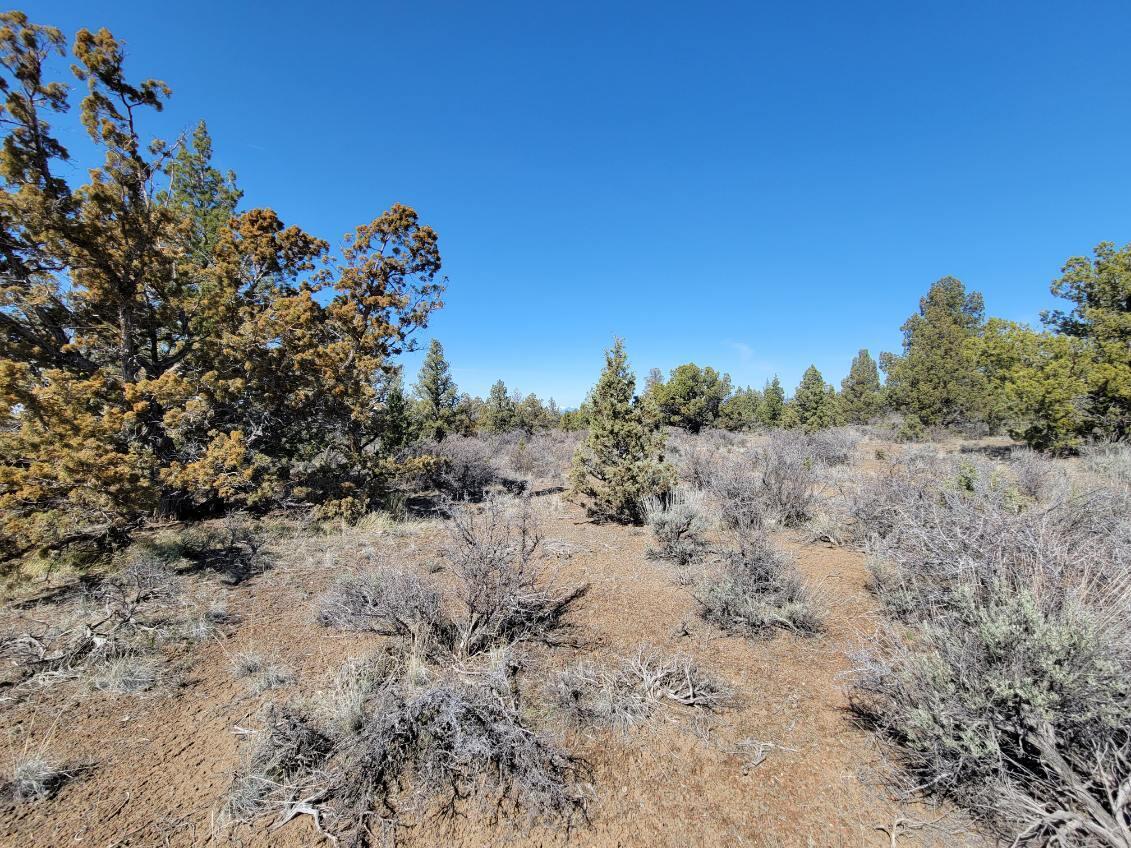 Juniper Acres - Land