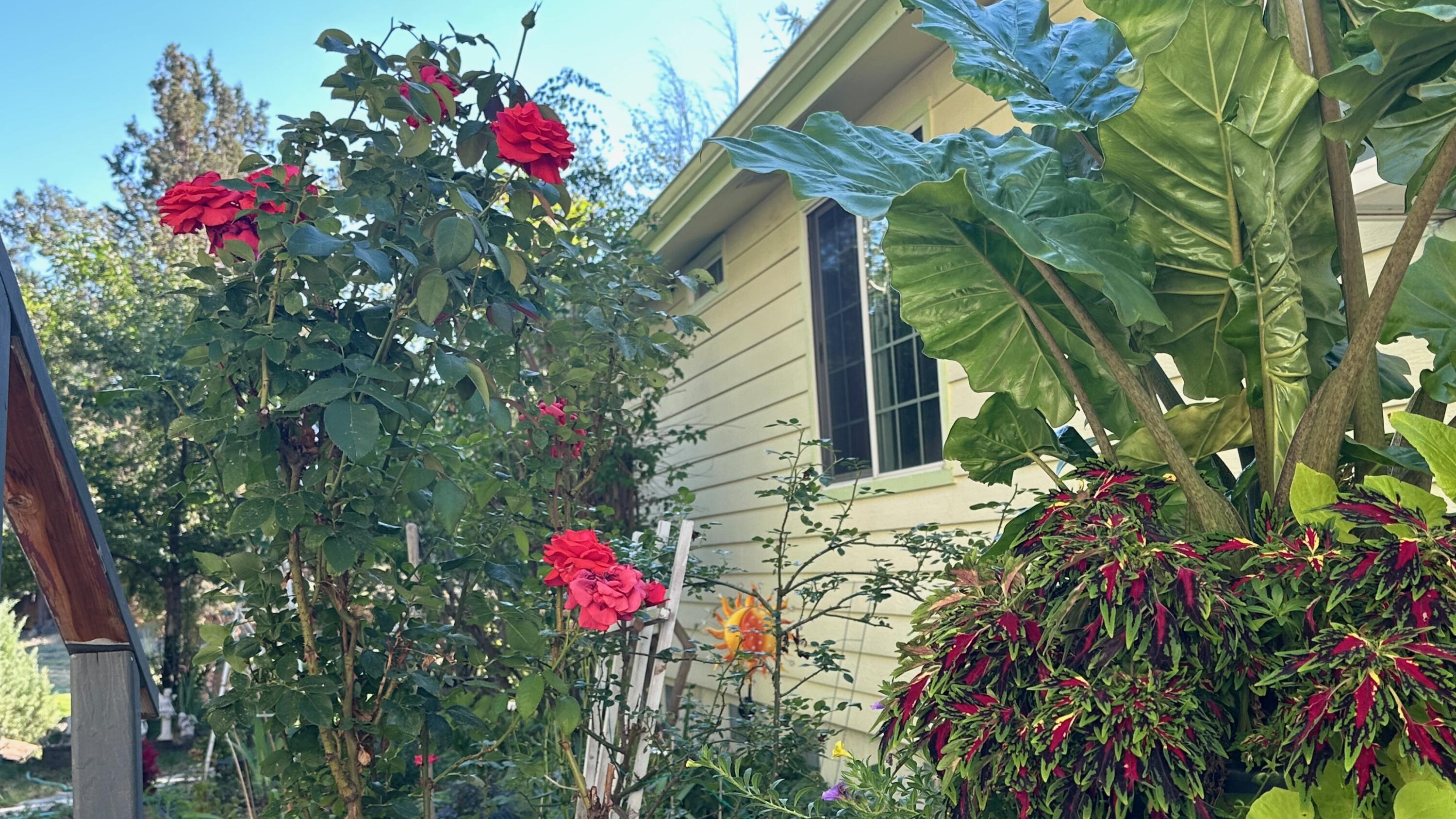 20709 Farenuff Place 74