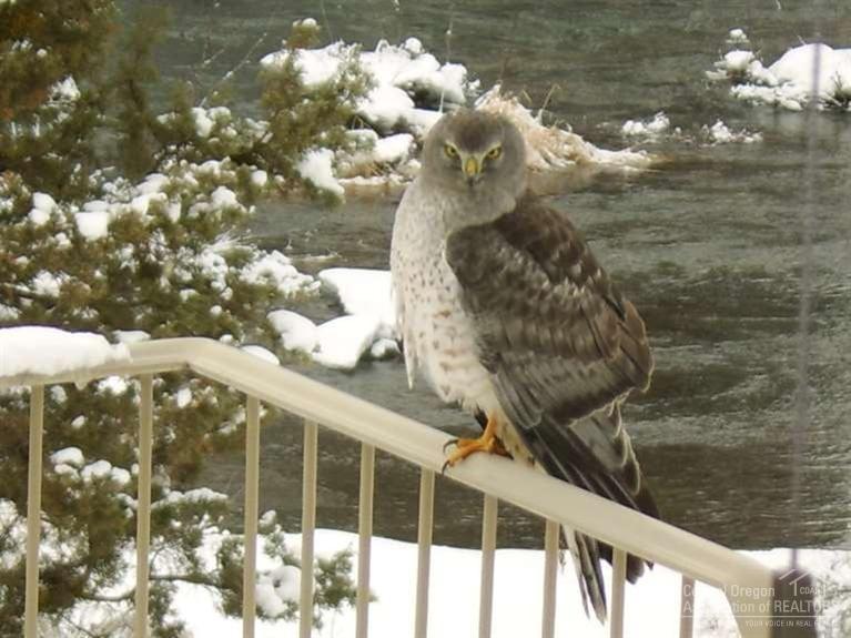 River Glen - Residential