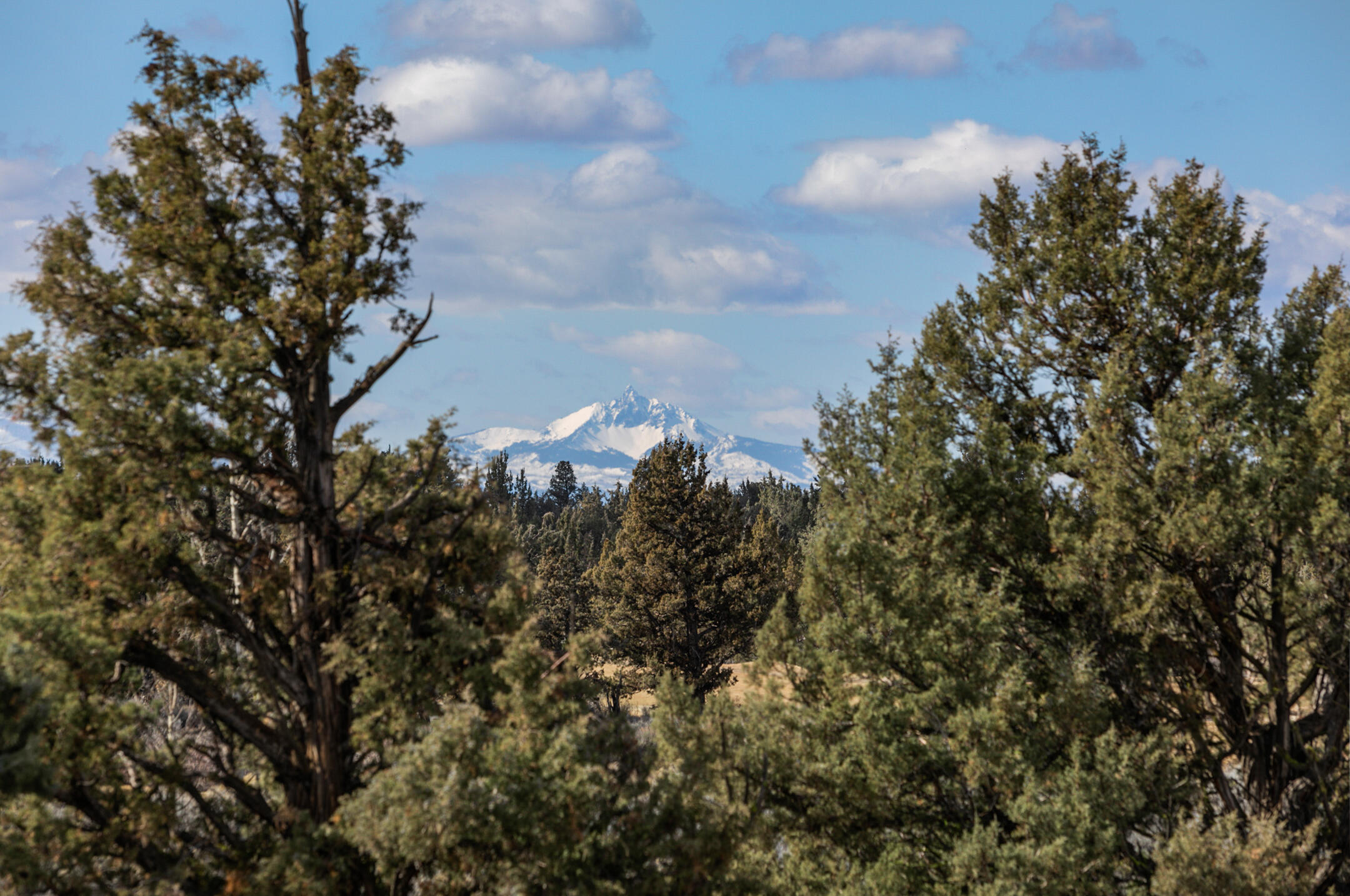 Pronghorn - Residential