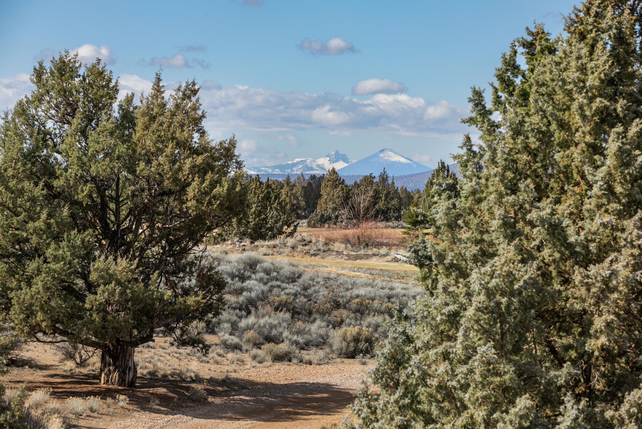 Pronghorn - Residential