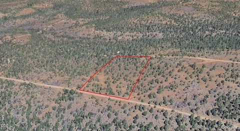 Tiny photo for SE Wolf TL 4300 Road, Prineville, OR 97754 (MLS # 220224860)