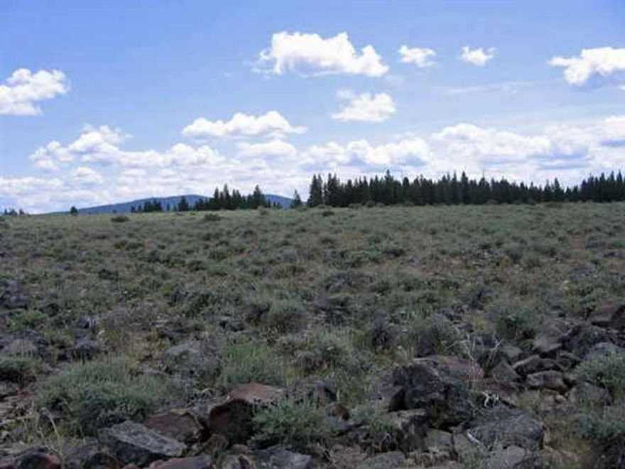 Nice Level Ground With A Scattering Of Trees On The West Boundary. This Is Remote And Off-the-grid With Seasonal Access. Great For Atv Riding, Watching The Stars, Or That Hunting O Fishing Vacation Cabin Too! Owner May Carry On Approved Credit With Half Down.