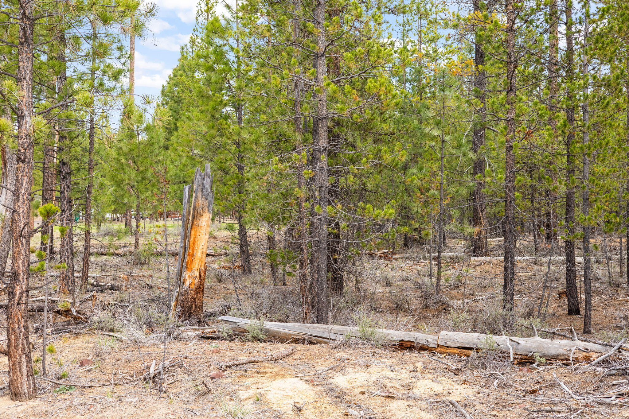 Wagon Trail Acreages - Land