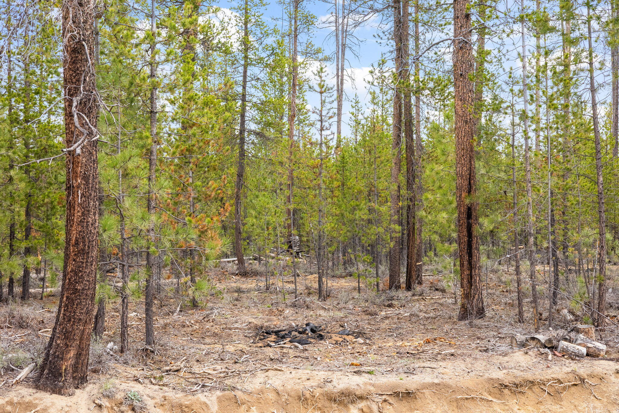 Wagon Trail Acreages - Land