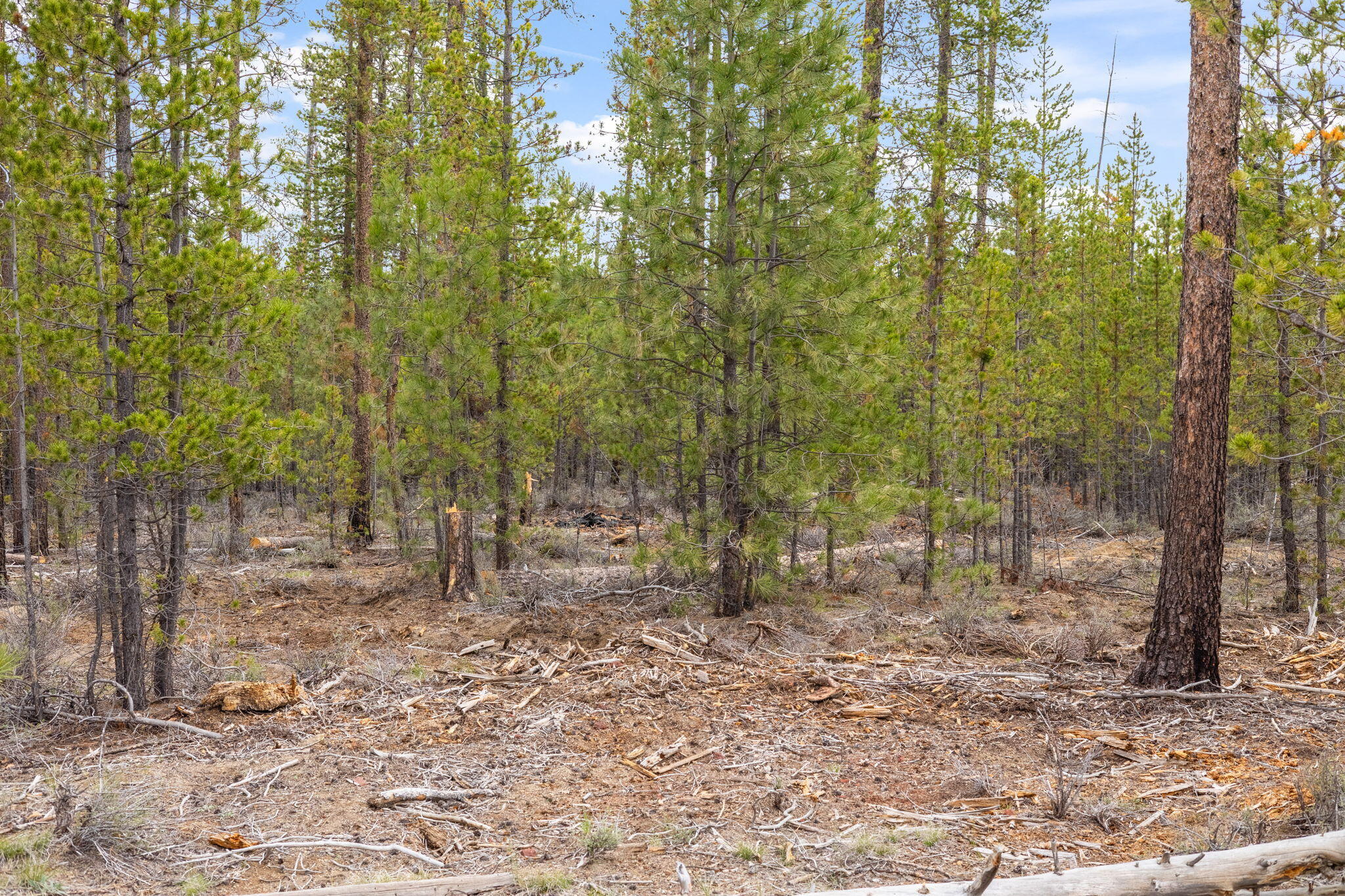 Wagon Trail Acreages - Land