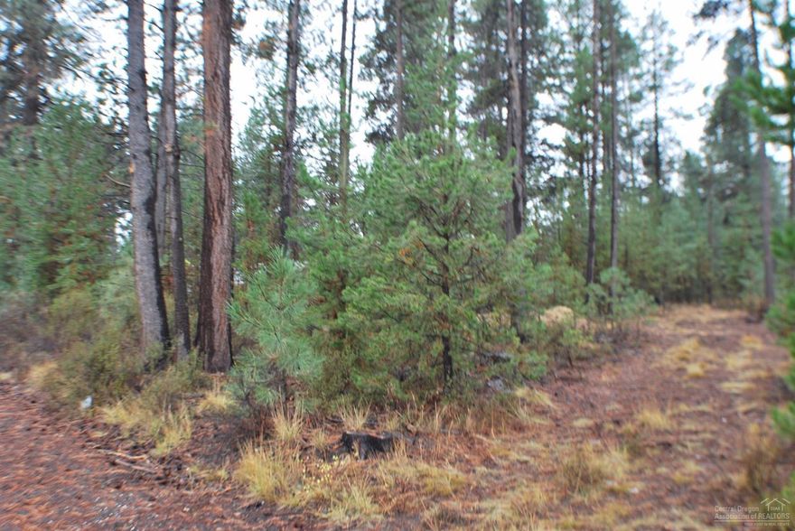 This is a great opportunity to buy a buildable lot in Central Oregon close to the Little Deschutes, just minutes to Mt Bachelor, the High Cascade Lakes and National Forest. The lot next door is also available for sale. These lots are located on a paved road. Power located on Dorrance Meadow Road. Area of wells about 60 feet deep. Don't miss out on these buildable lots.