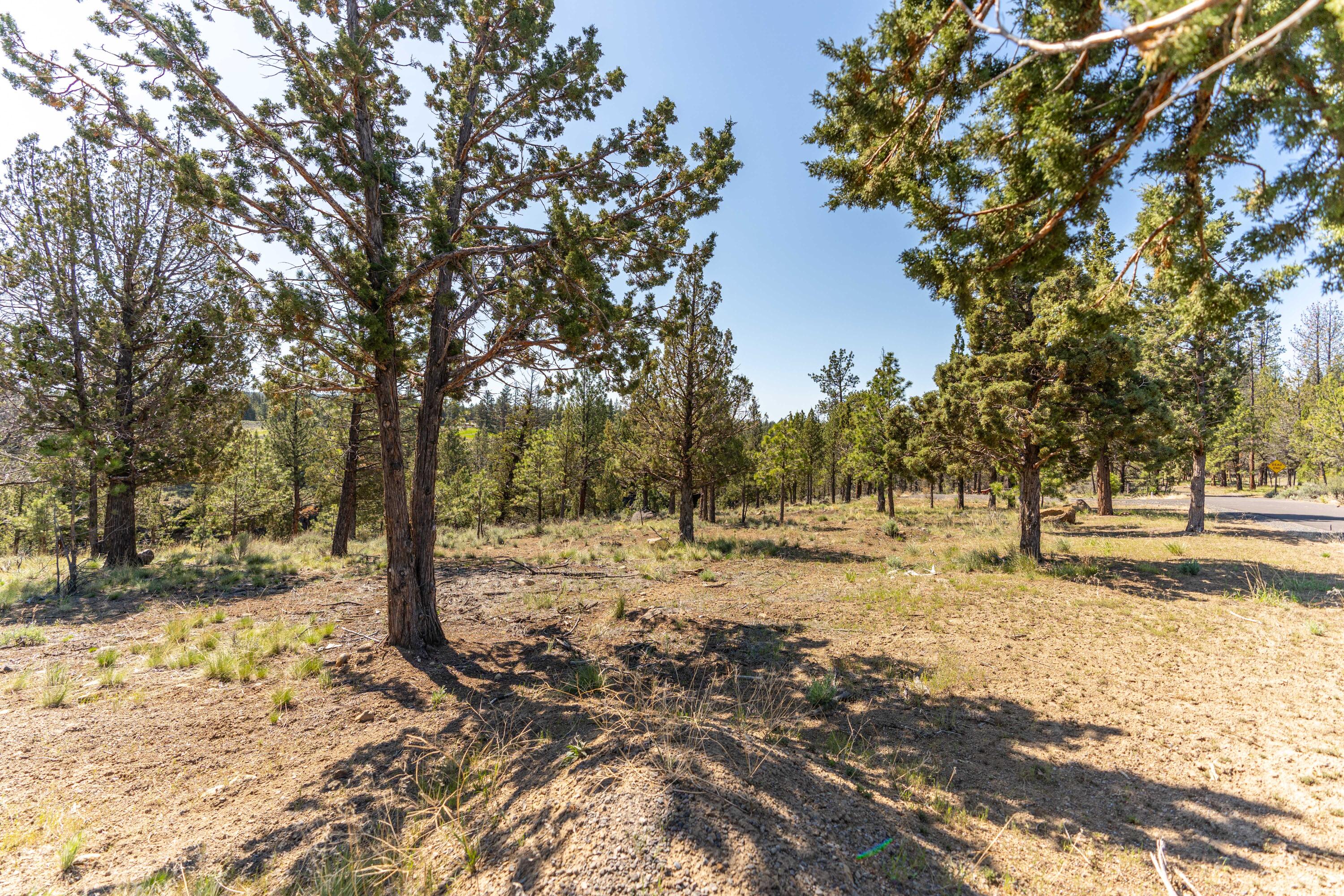 Lakes At Tanager PUD - Land