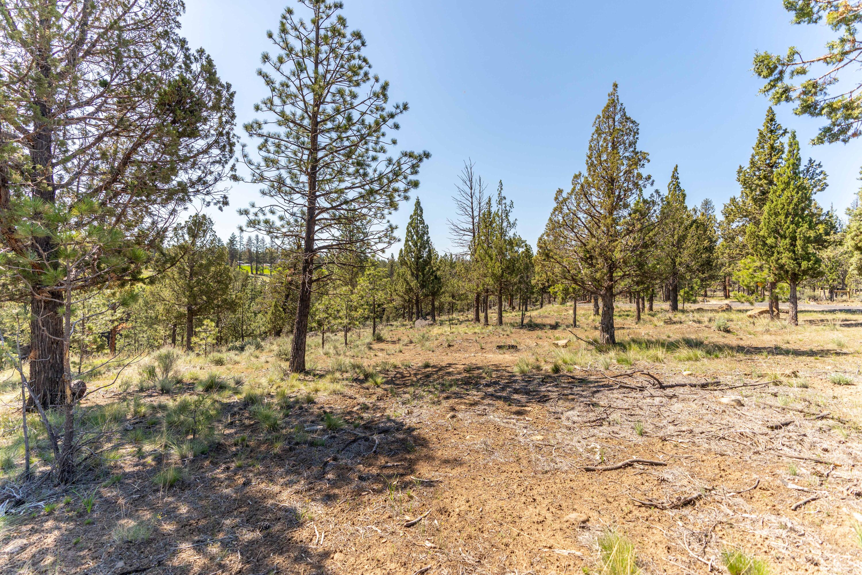 Lakes At Tanager PUD - Land
