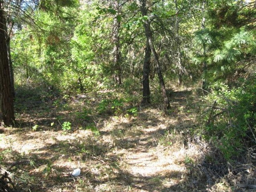 Vacant .87 acre zoned R-1-10. It is a legal build-able lot per city planning, but the buyer will have to hook up to city sewer, (close by) but they can drill their own well since city water is farther than 300 feet away. All information is deemed reliable but not verified. Anyone considering purchasing this property should perform their own investigation into the uses and condition of the property.