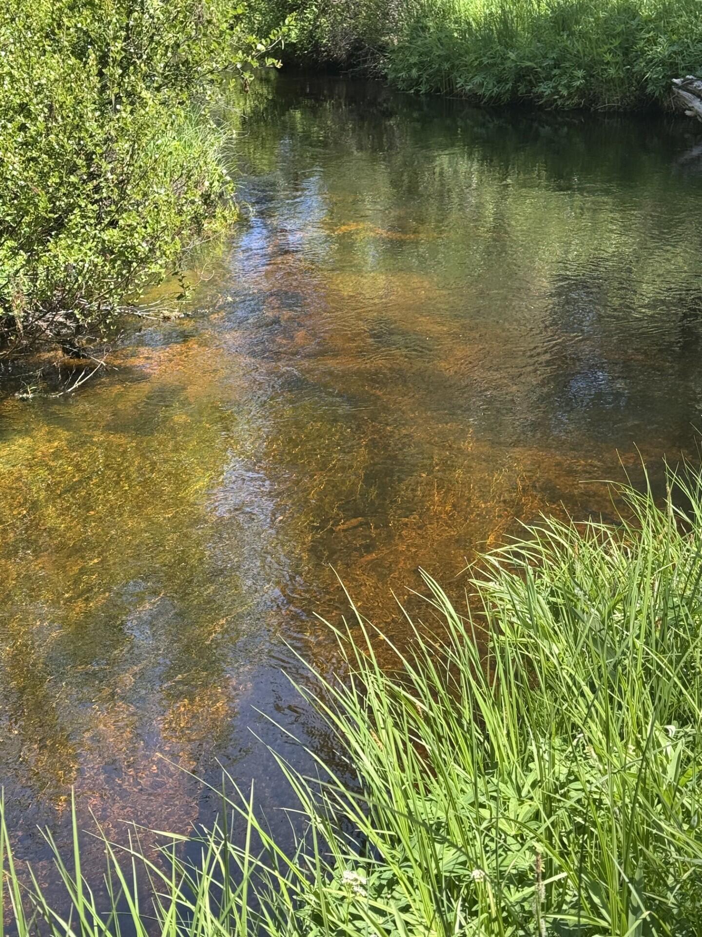 Two Rivers North - Residential