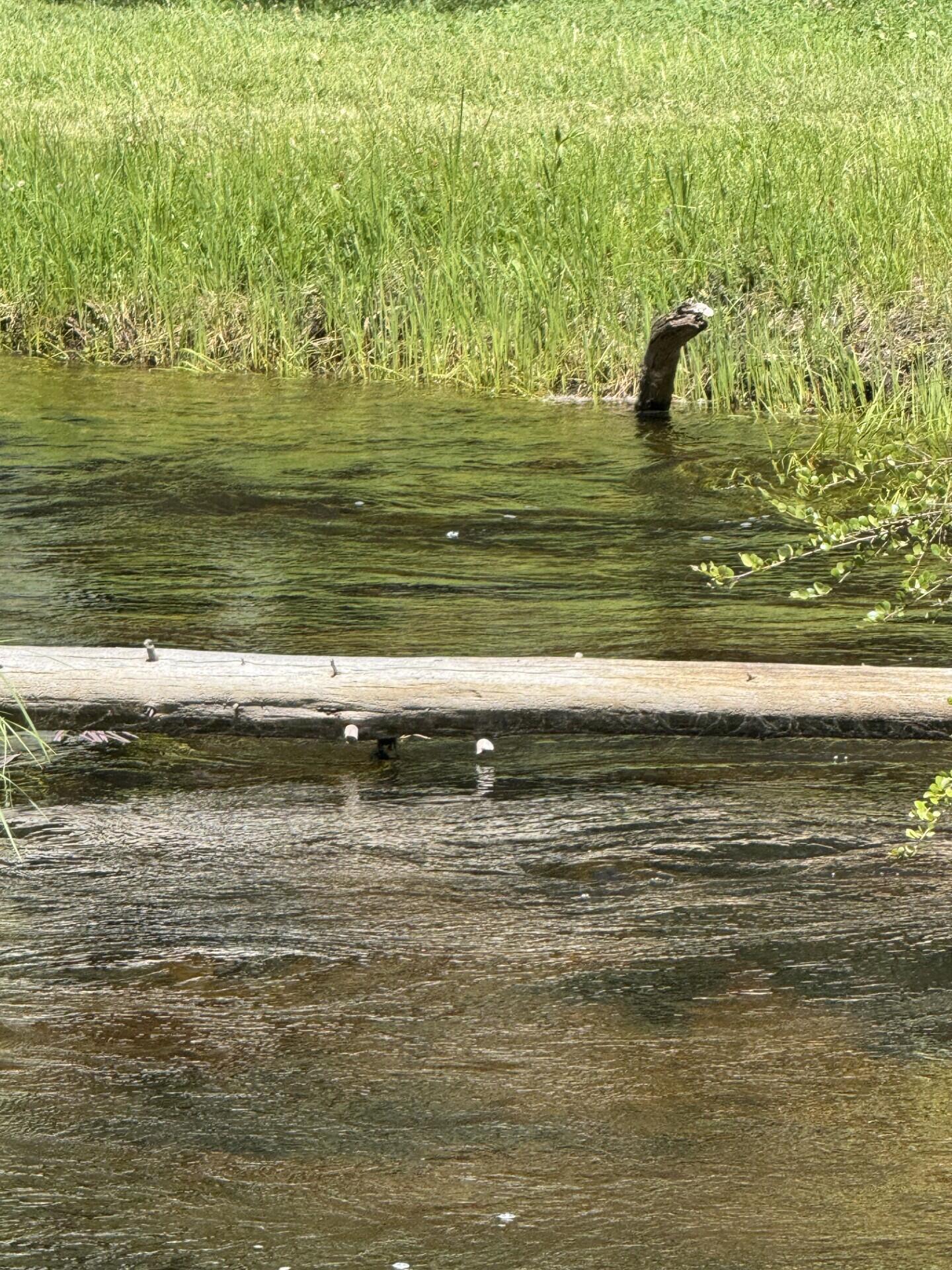 Two Rivers North - Residential