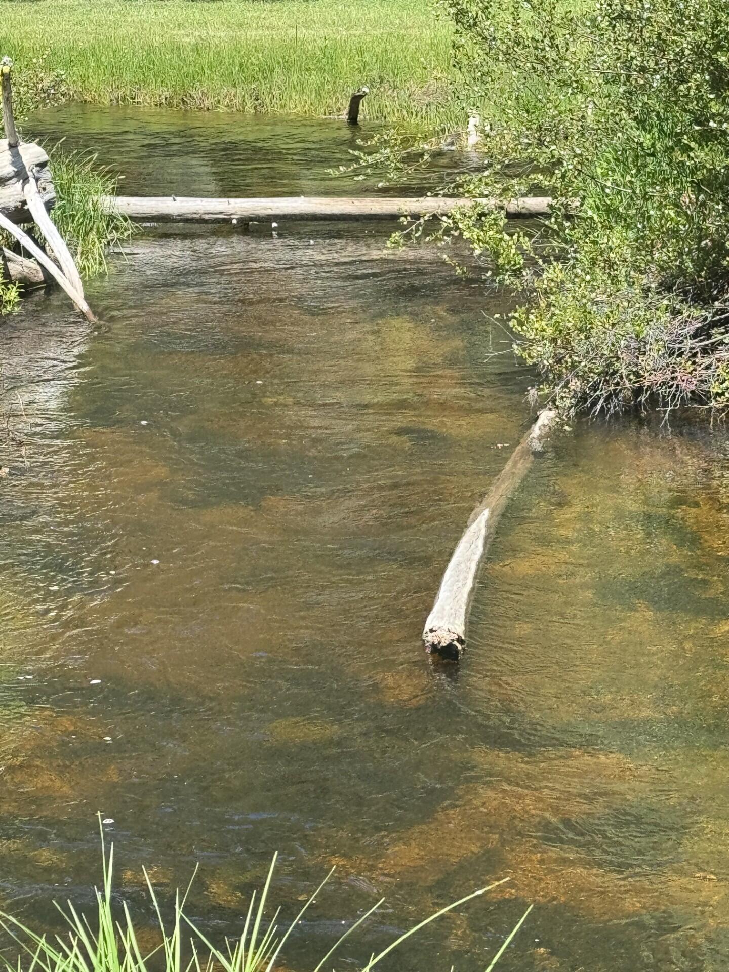 Two Rivers North - Residential