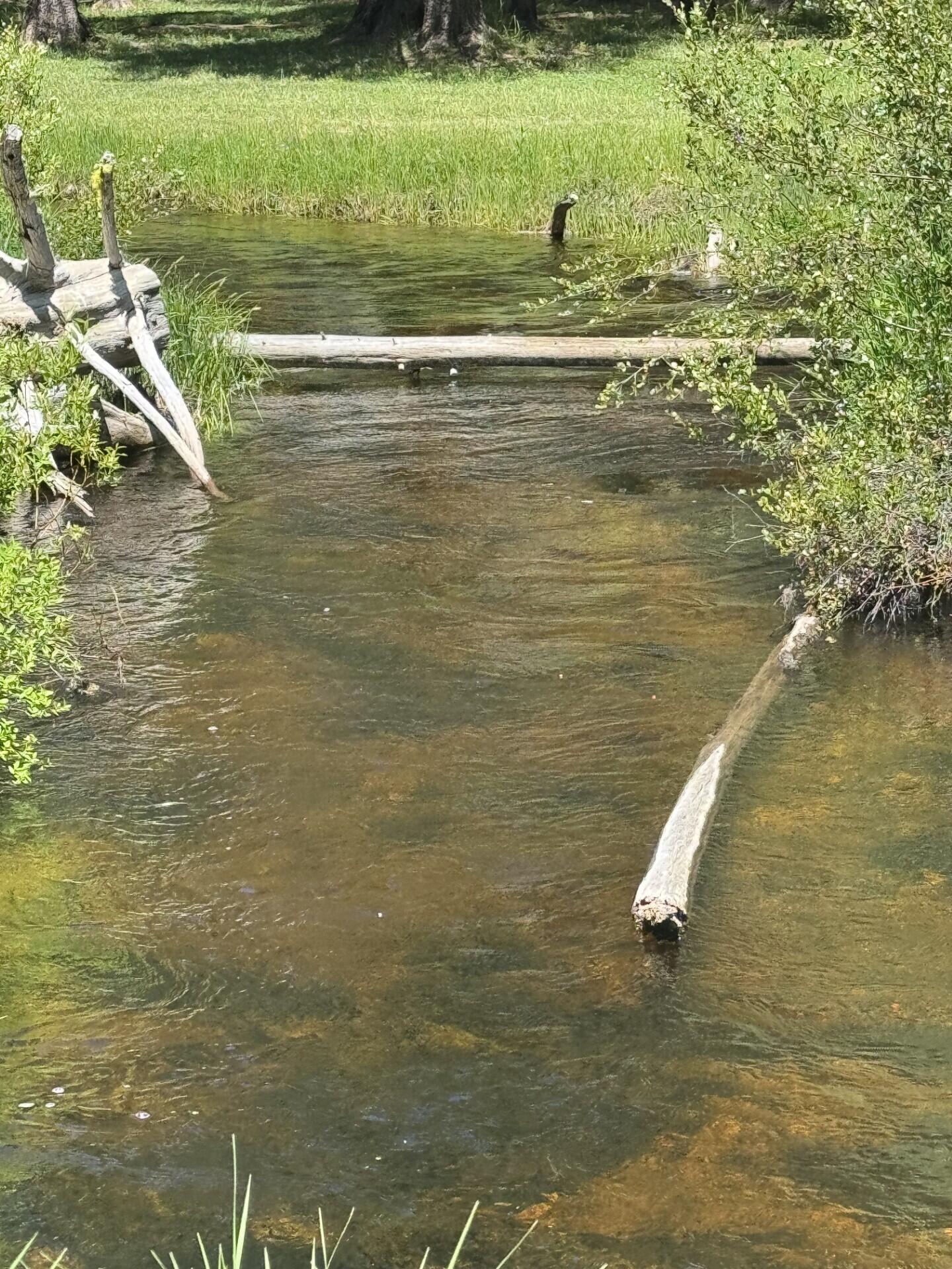 Two Rivers North - Residential