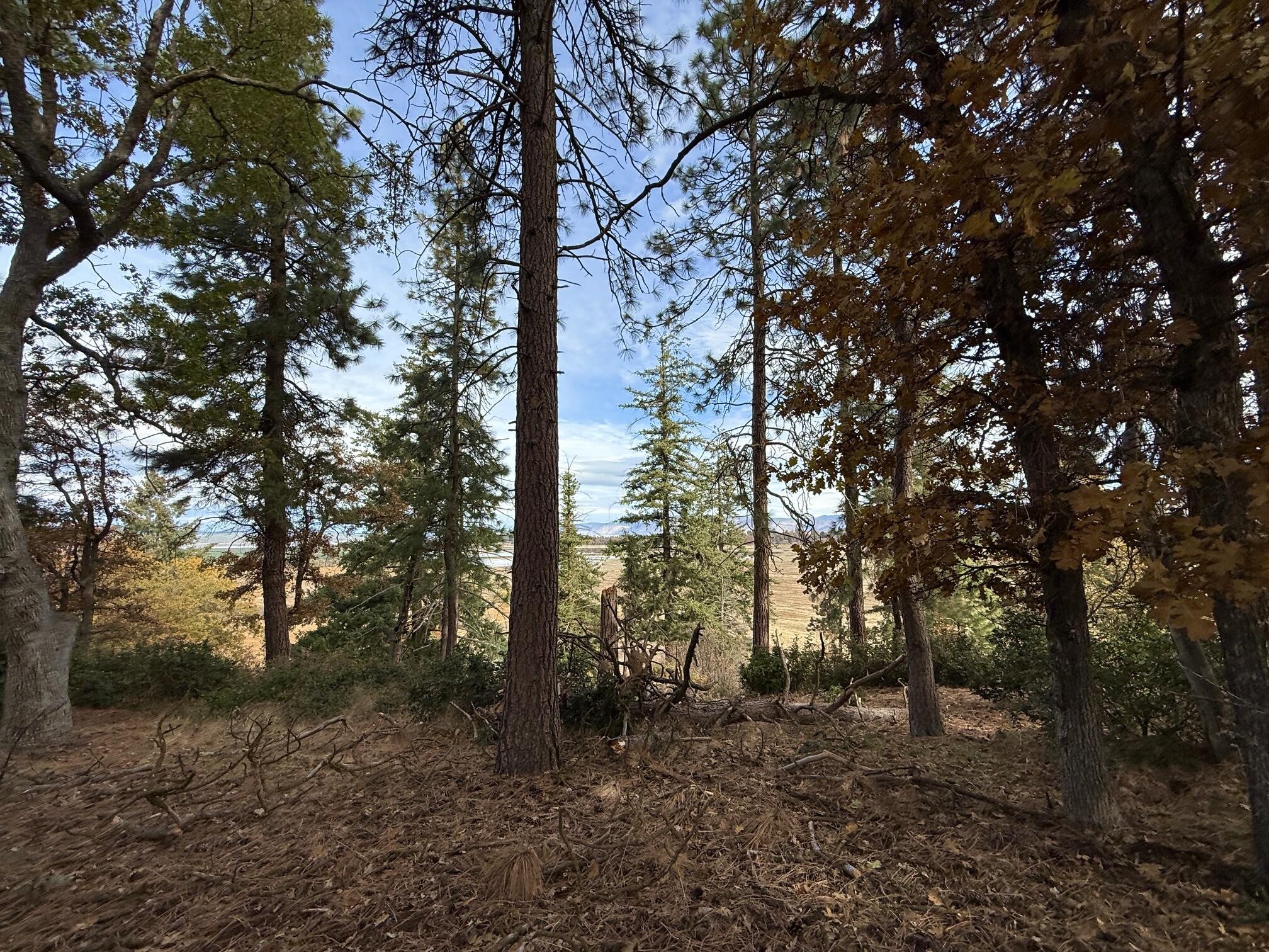 Running YResort - Land