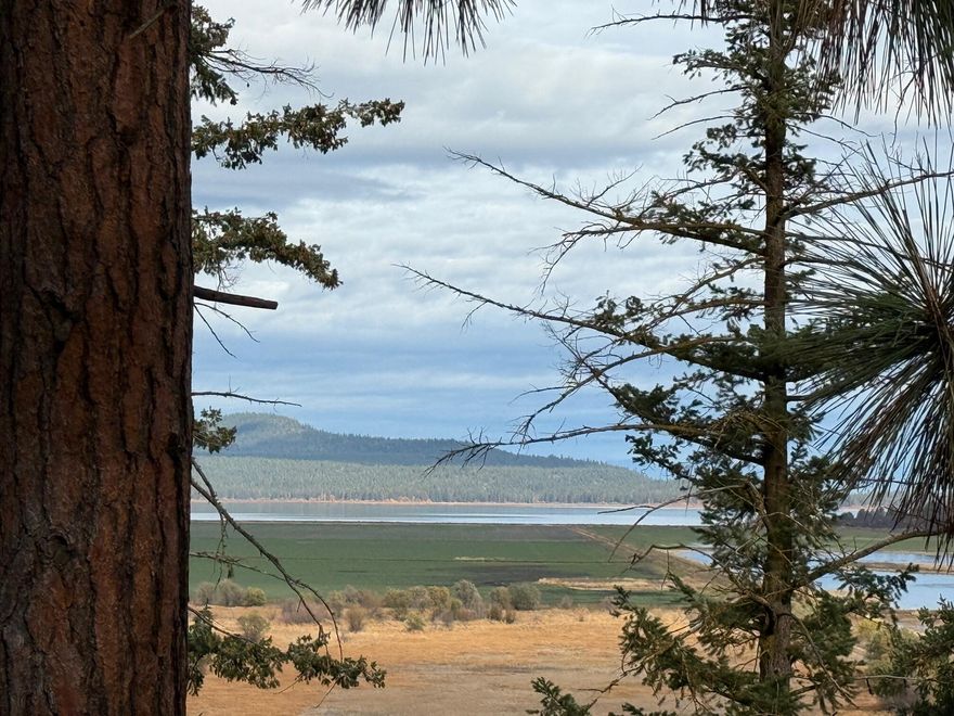 Experience the best of Oregon's high-country living on this stunning ridge view lot at the prestigious Running Y Ranch Resort. This homesite offers a large, flat build area perfectly suited for your dream home, with breathtaking panoramic views of Klamath Lake and even Crater Lake in the distance. Towering mature Ponderosa pines provide natural beauty, privacy, and a true sense of mountain serenity. Don't miss the opportunity to own one of the few lake view lots still available and this incredible price! Ready to build lot with all utilities to the lot. The Running Y Resort homeowner amenities include fitness center, indoor pool and sauna, tennis, pickleball, basketball, and volleyball courts, playground, 6 miles of paved walking and riding trails, wildland walking trails and fishing pond. Resort amenities include an 18-hole Arnold Palmer golf course, restaurants, spa, ice skating, roller rink, neighborhood market, and more.