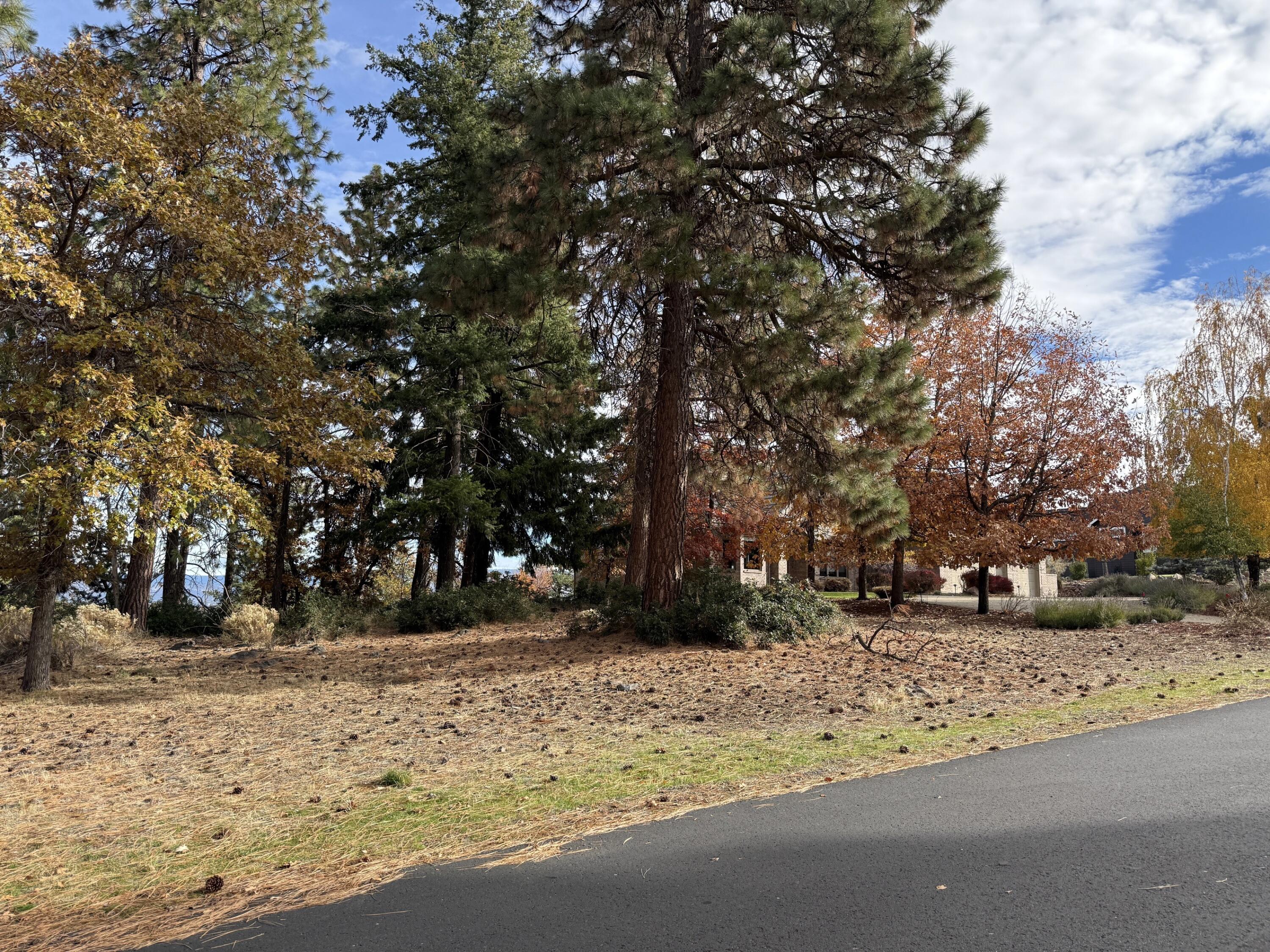 Running YResort - Land