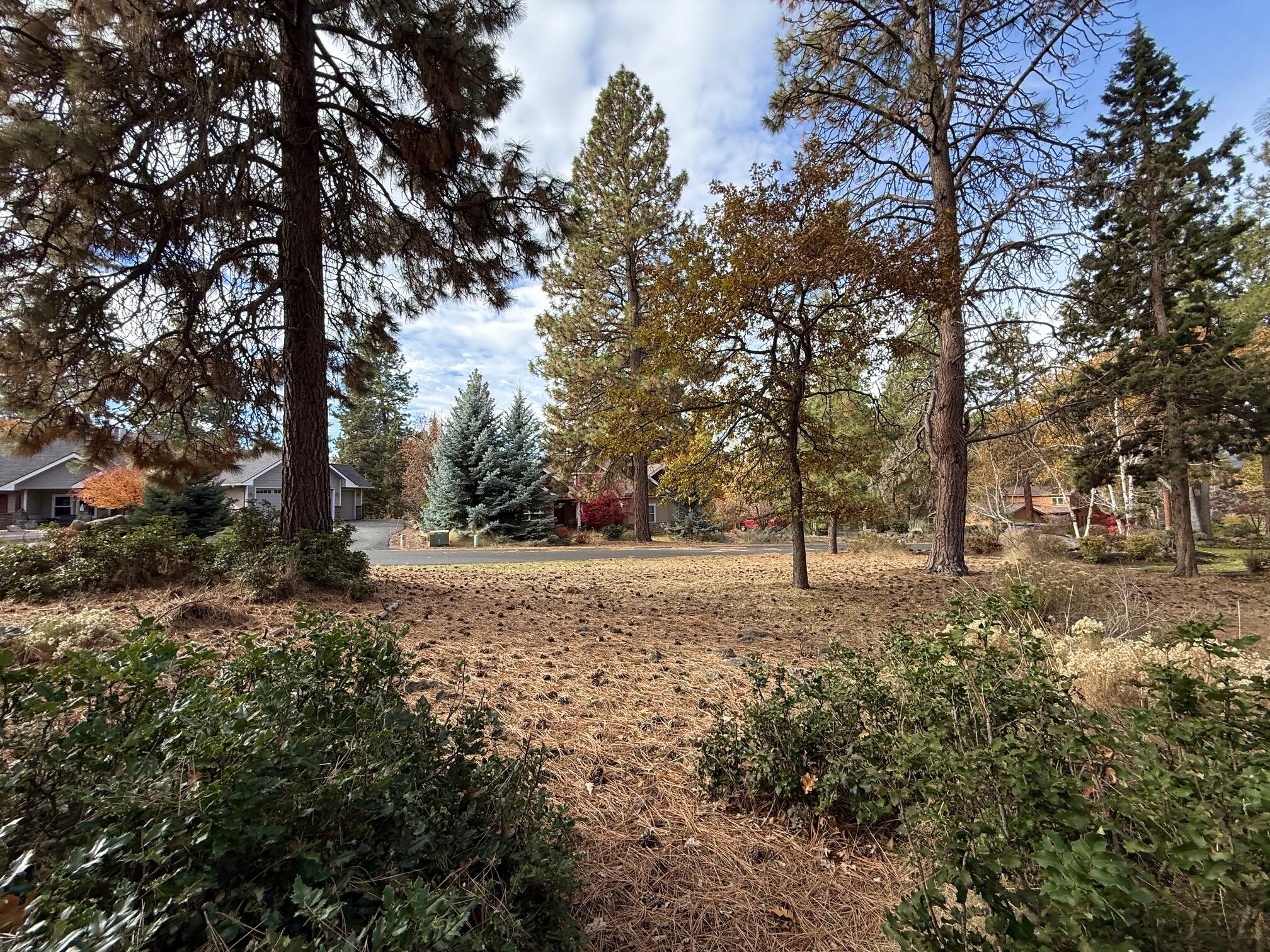 Running YResort - Land