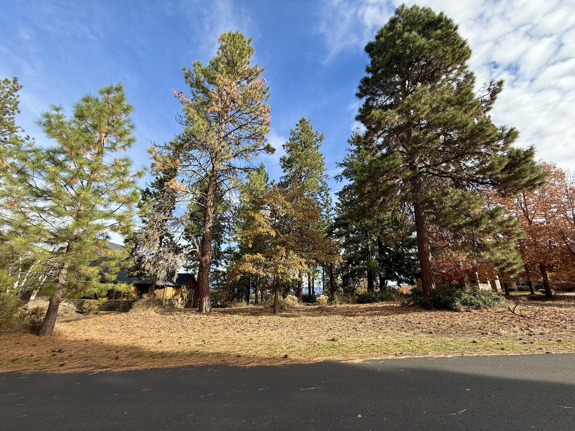 Running YResort - Land