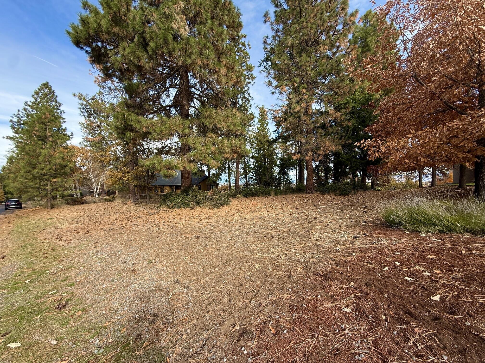 Running YResort - Land