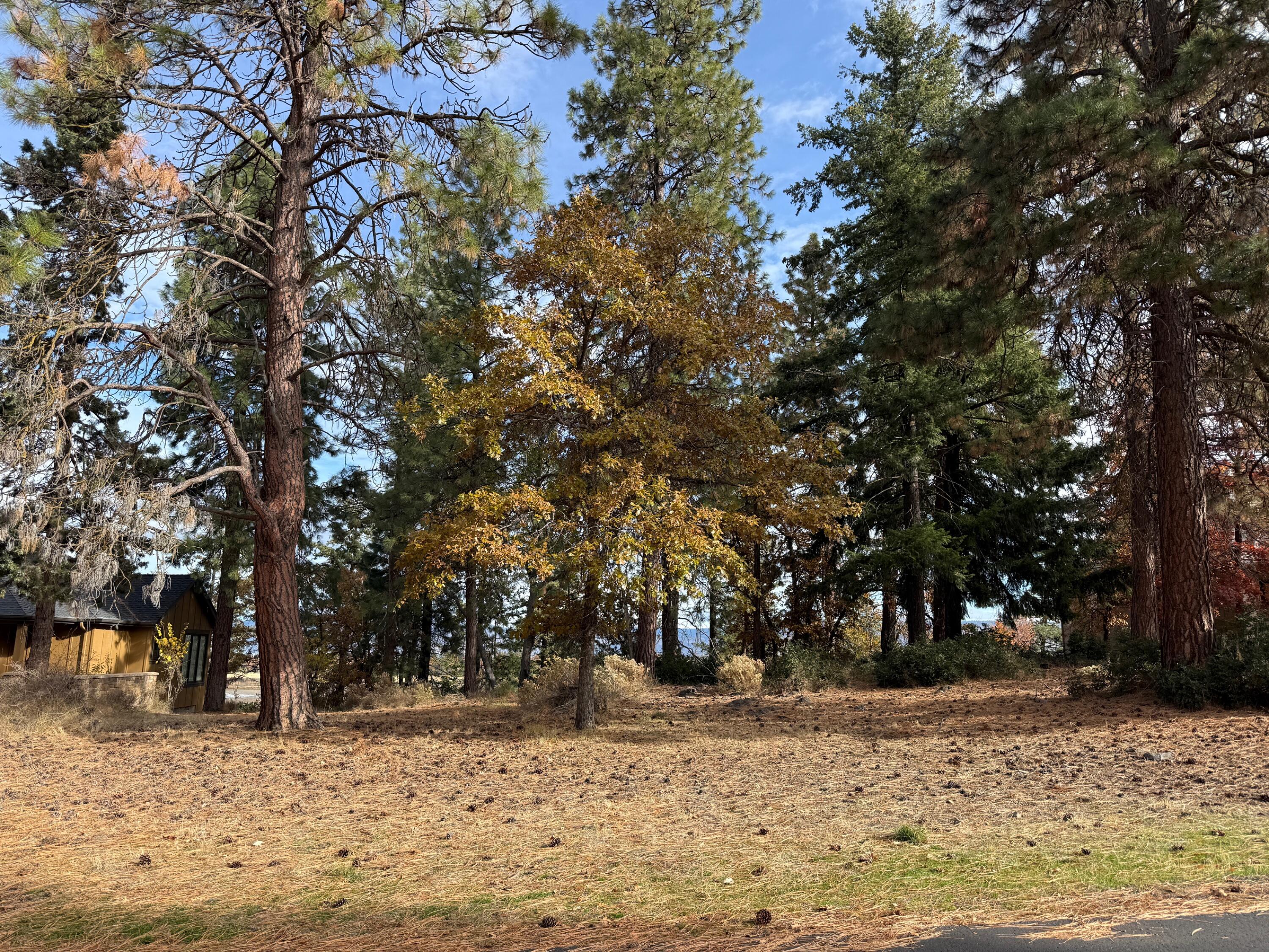 Running YResort - Land