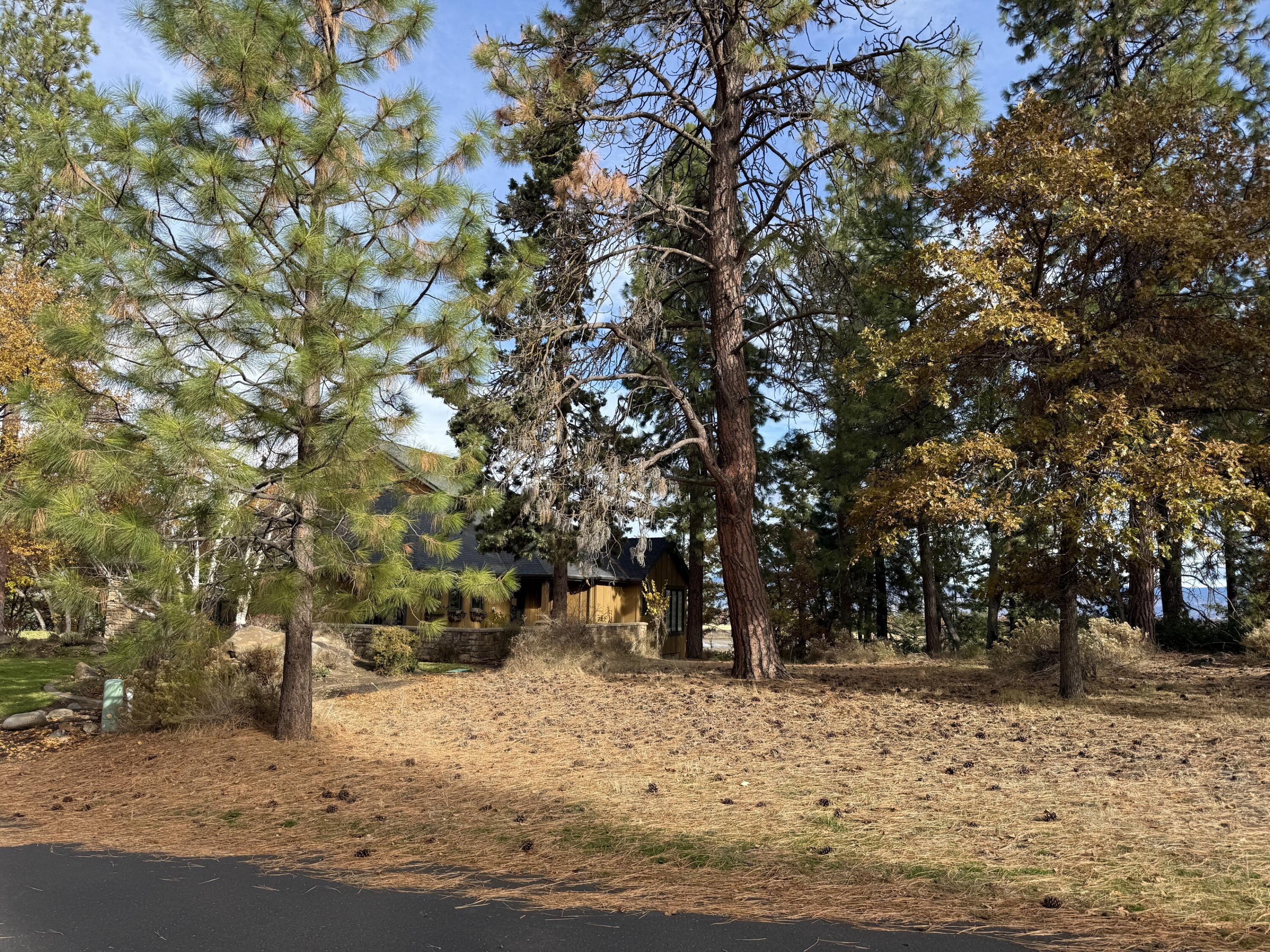 Running YResort - Land