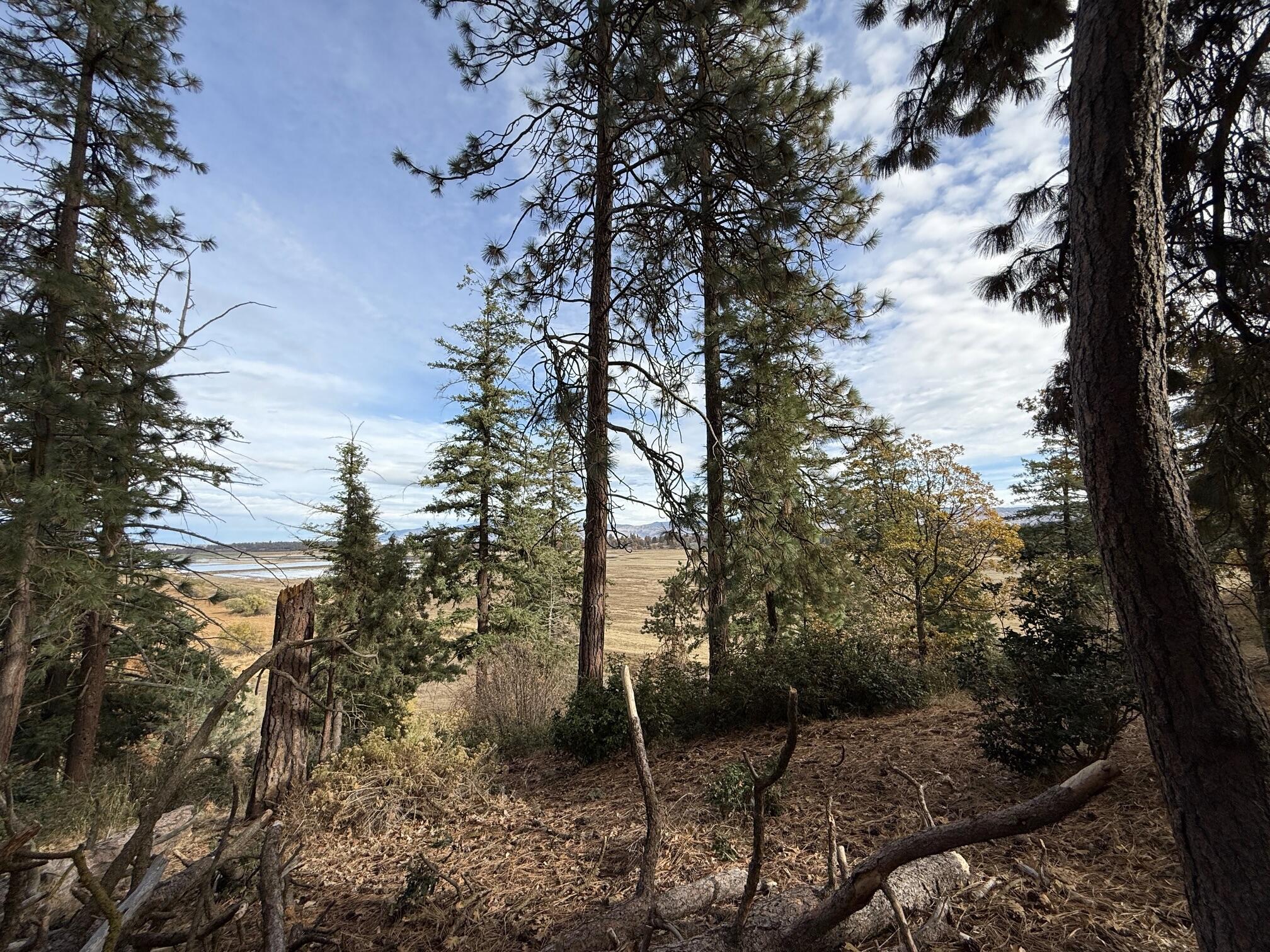 Running YResort - Land