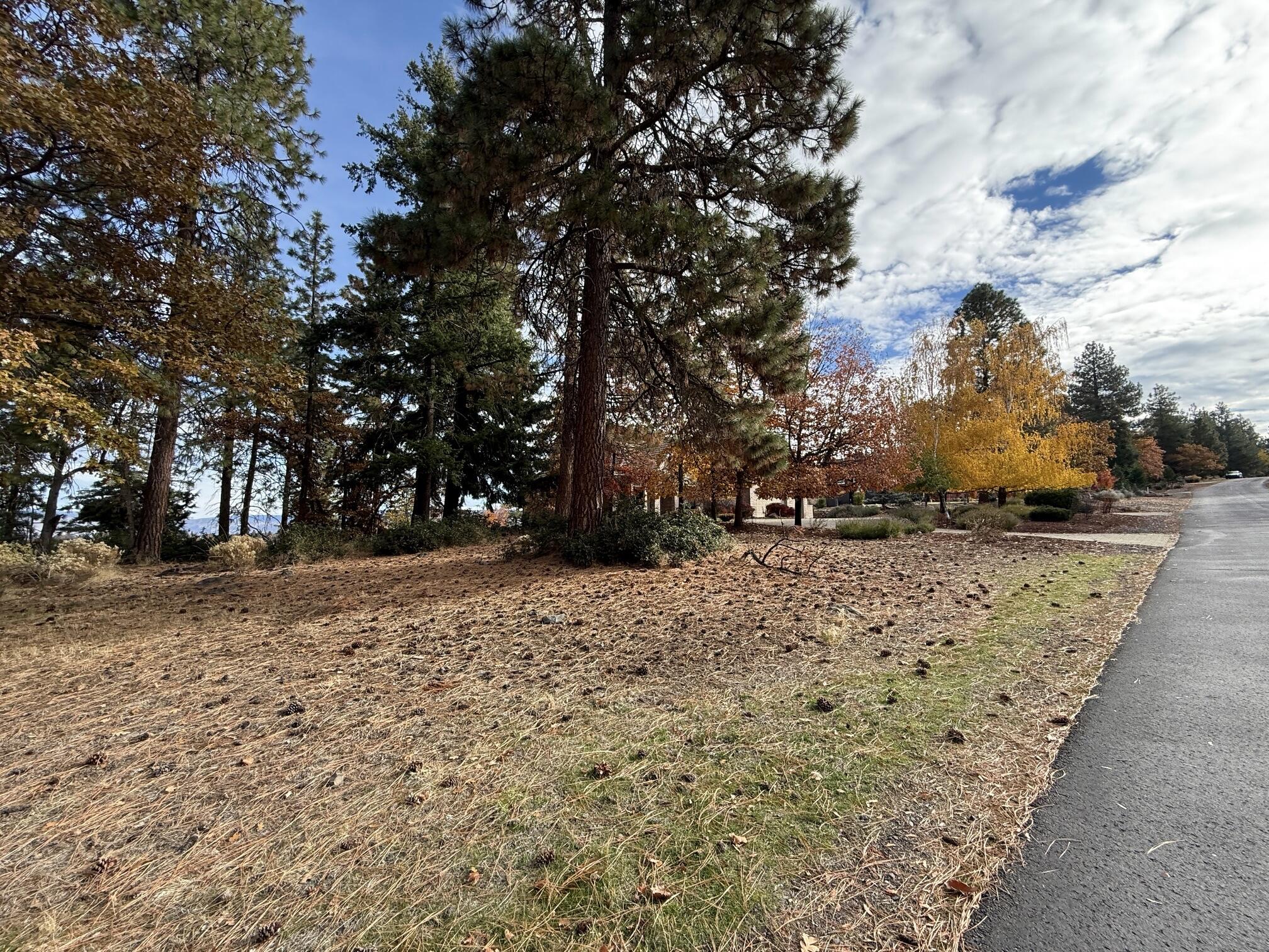 Running YResort - Land