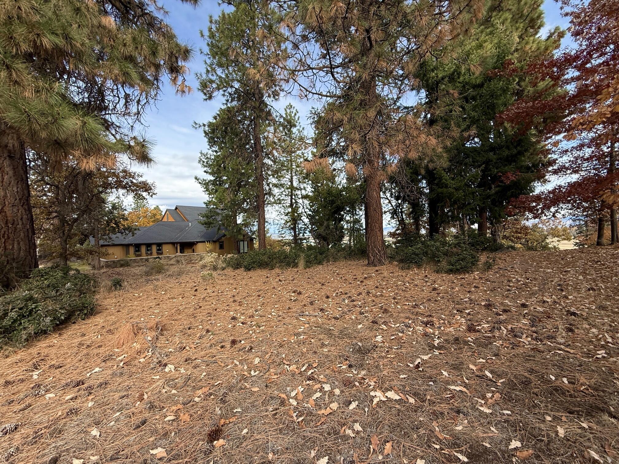 Running YResort - Land