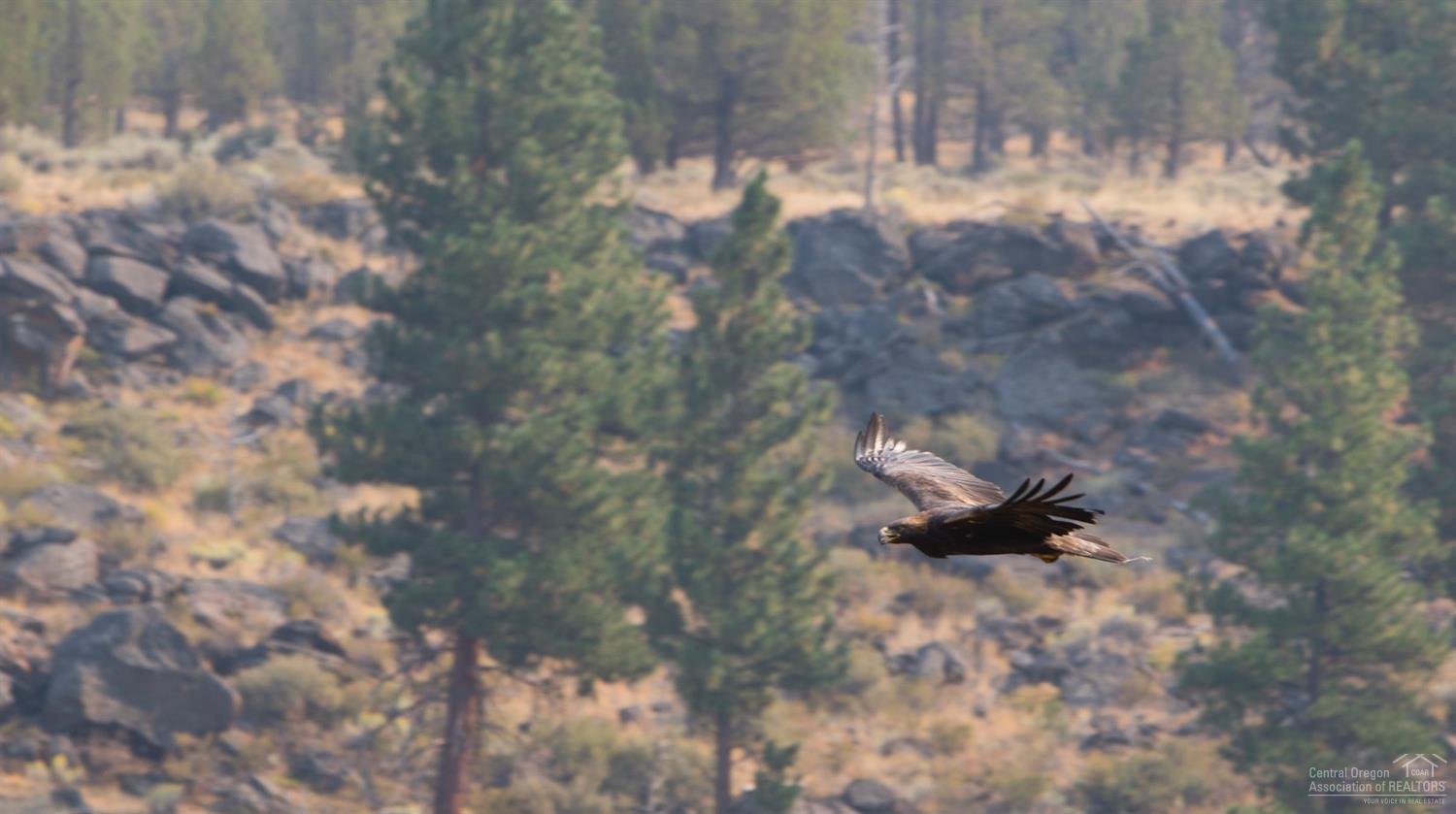 Squaw Creek Canyon - Residential