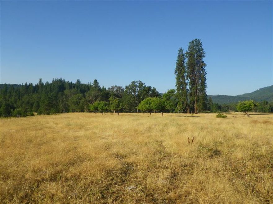 160 Acres of unsurpassed beauty and serenity, excellent as horse property, farm land, ranch land, potential vineyard or where ever your imagination takes you. Seasonal creek draws abundant wildlife. Deer and elk are seen year round. Fenced with marketable timber, woodland and pasture. Expansive mountain views. Currenty leased for cattle. Approved non expiring home site approval in beautiful pine covered knoll. Excellent 40 gpm well when drilled is functioning for cattle, underground power to home site. Nicest vacant land parcel on the market.