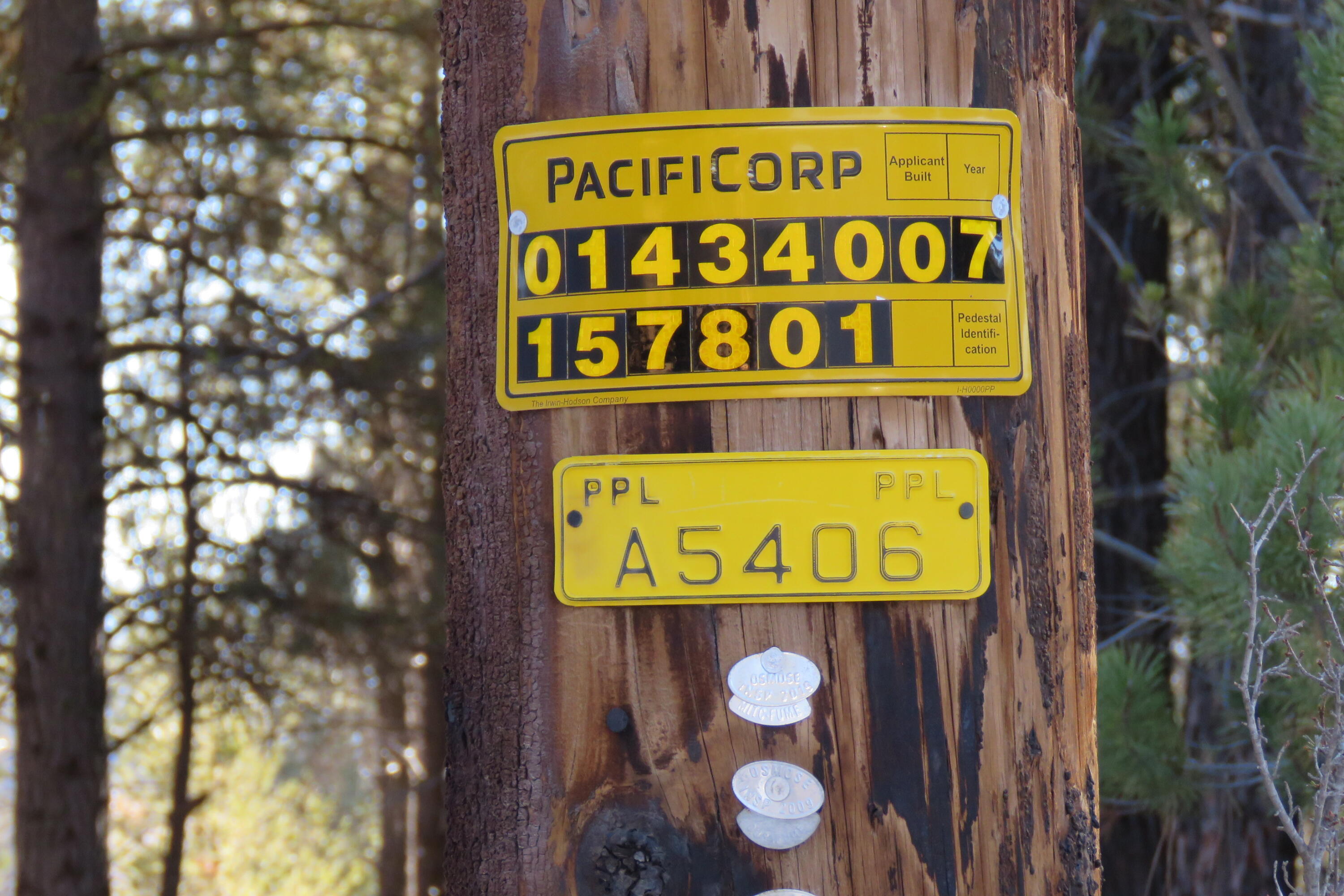 Woodland Park - Land