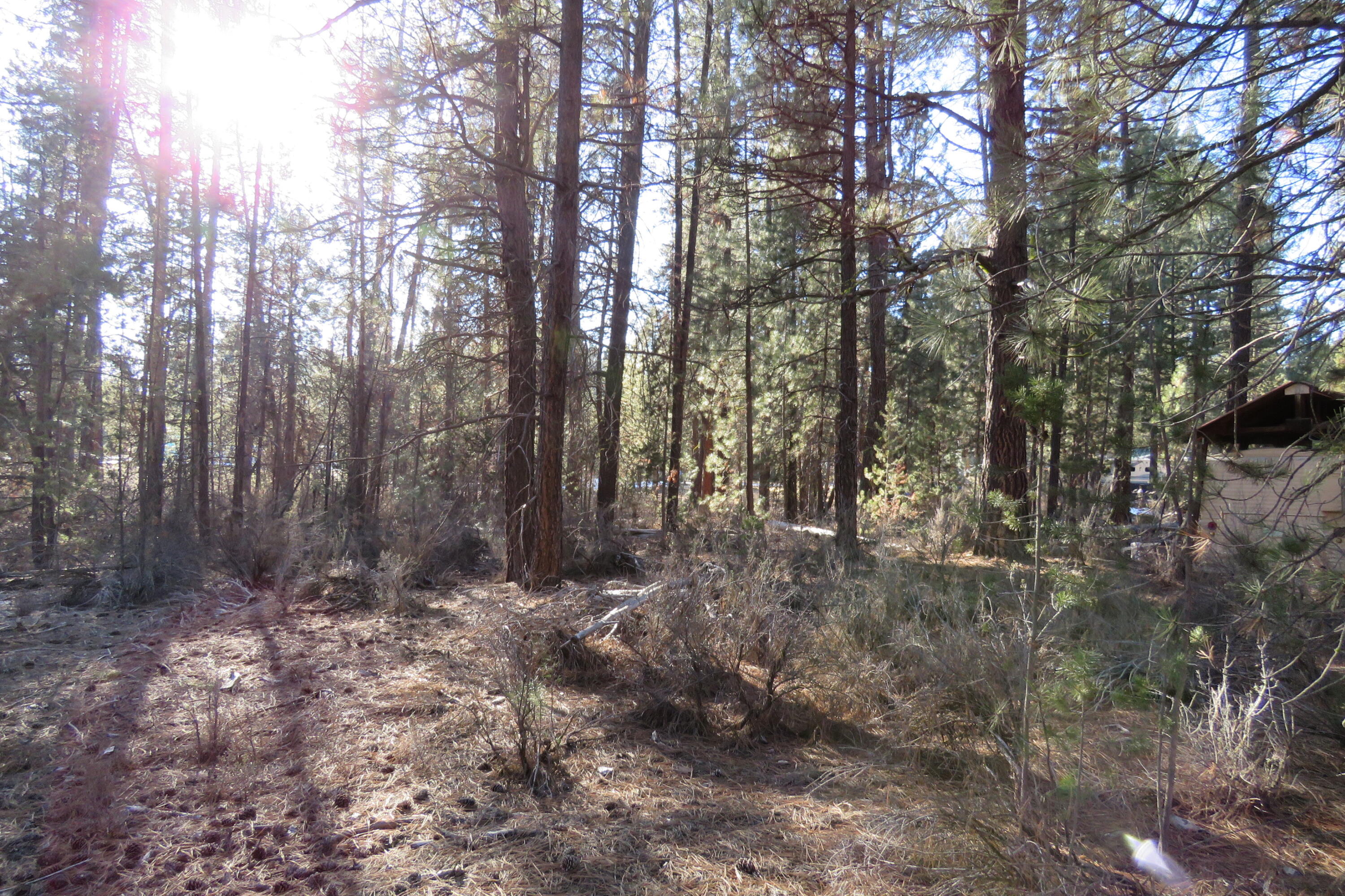 Woodland Park - Land