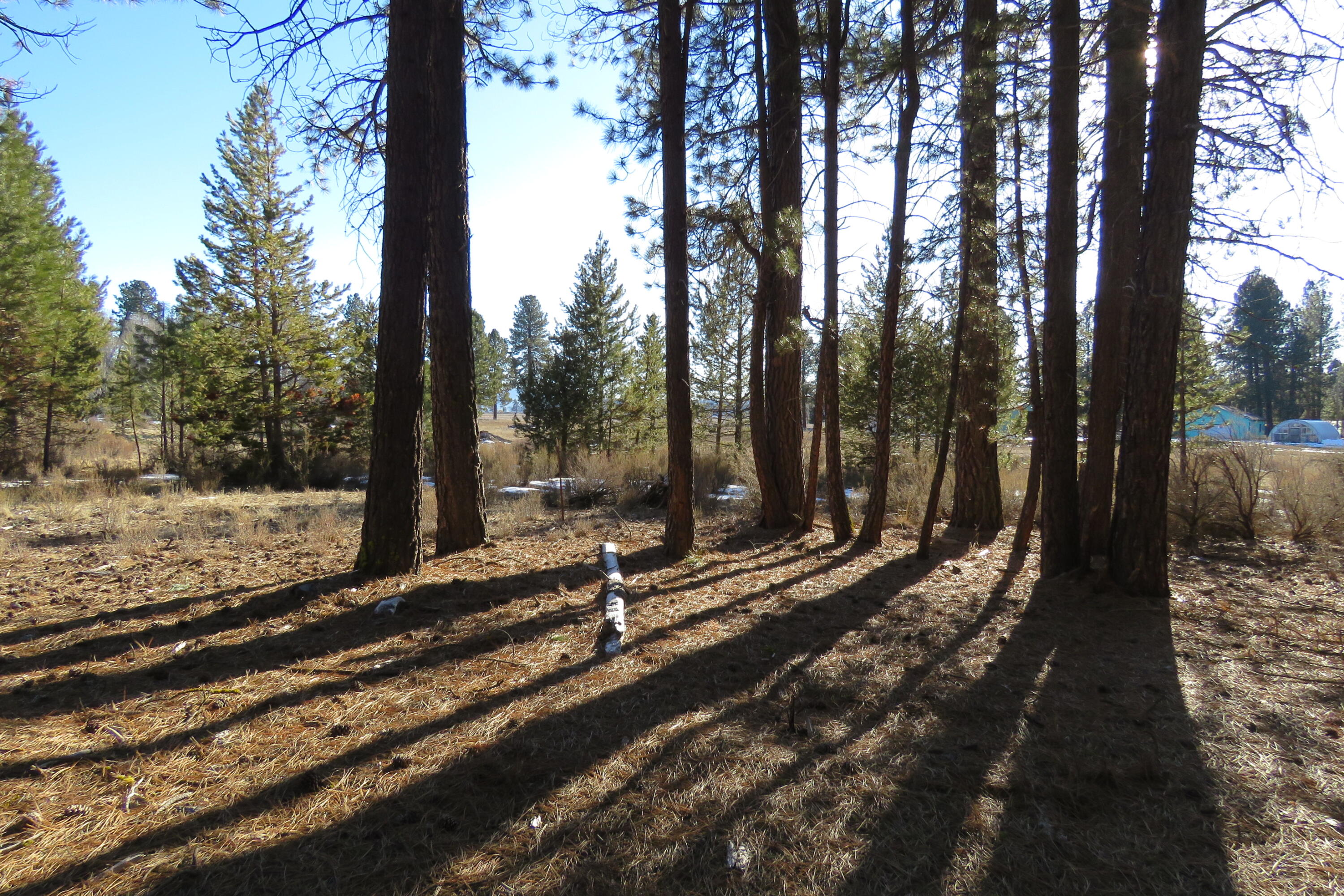 Woodland Park - Land