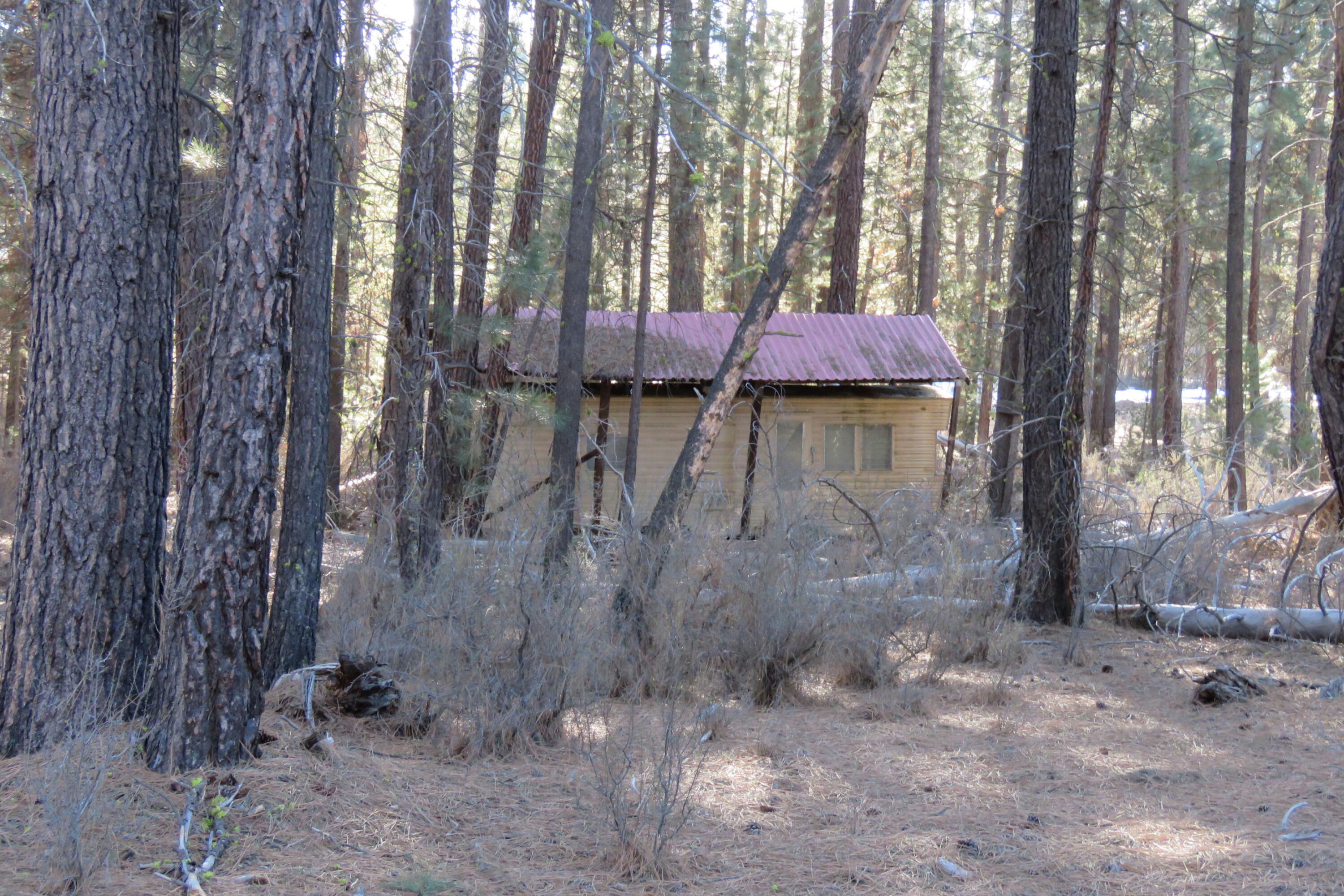 Woodland Park - Land