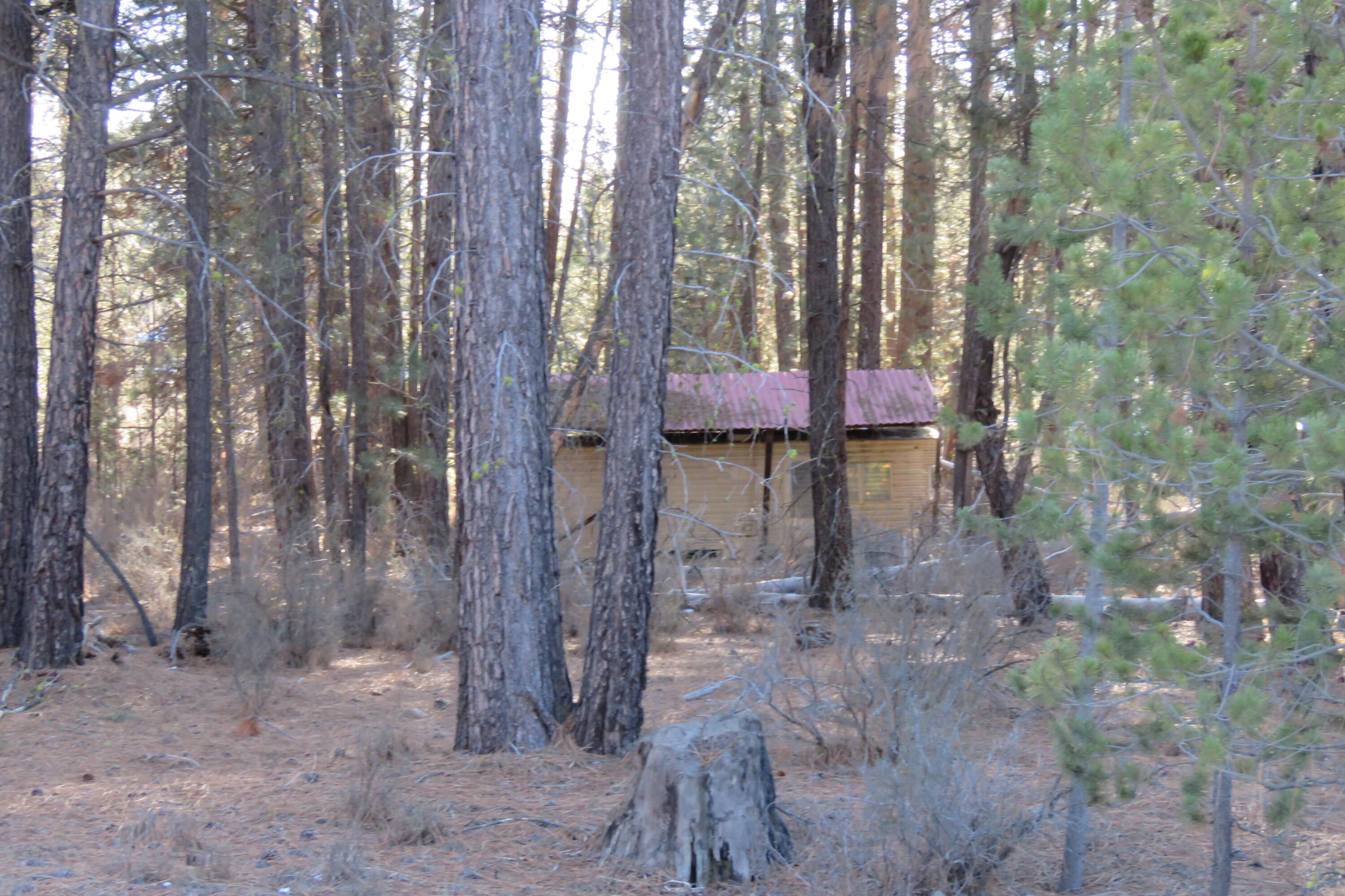 Woodland Park - Land